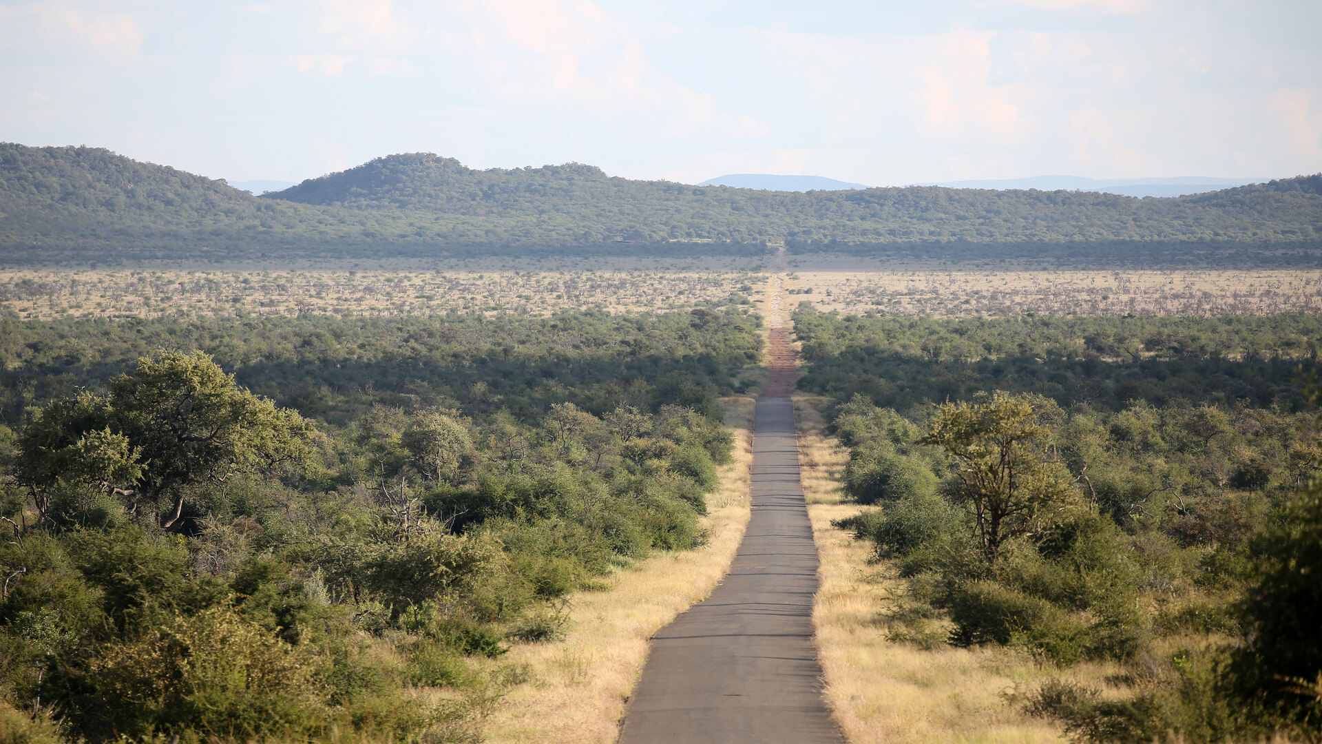 A track leading into open Kruger bushveld and distant hills, the kind of country covered on a guided walking trail