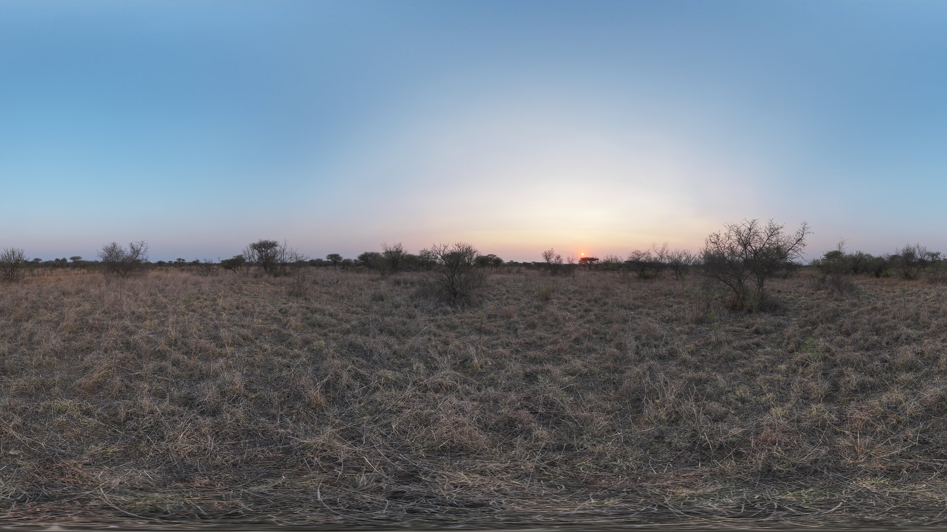 A wide panorama of Kruger bushveld glowing under a golden dusk sky