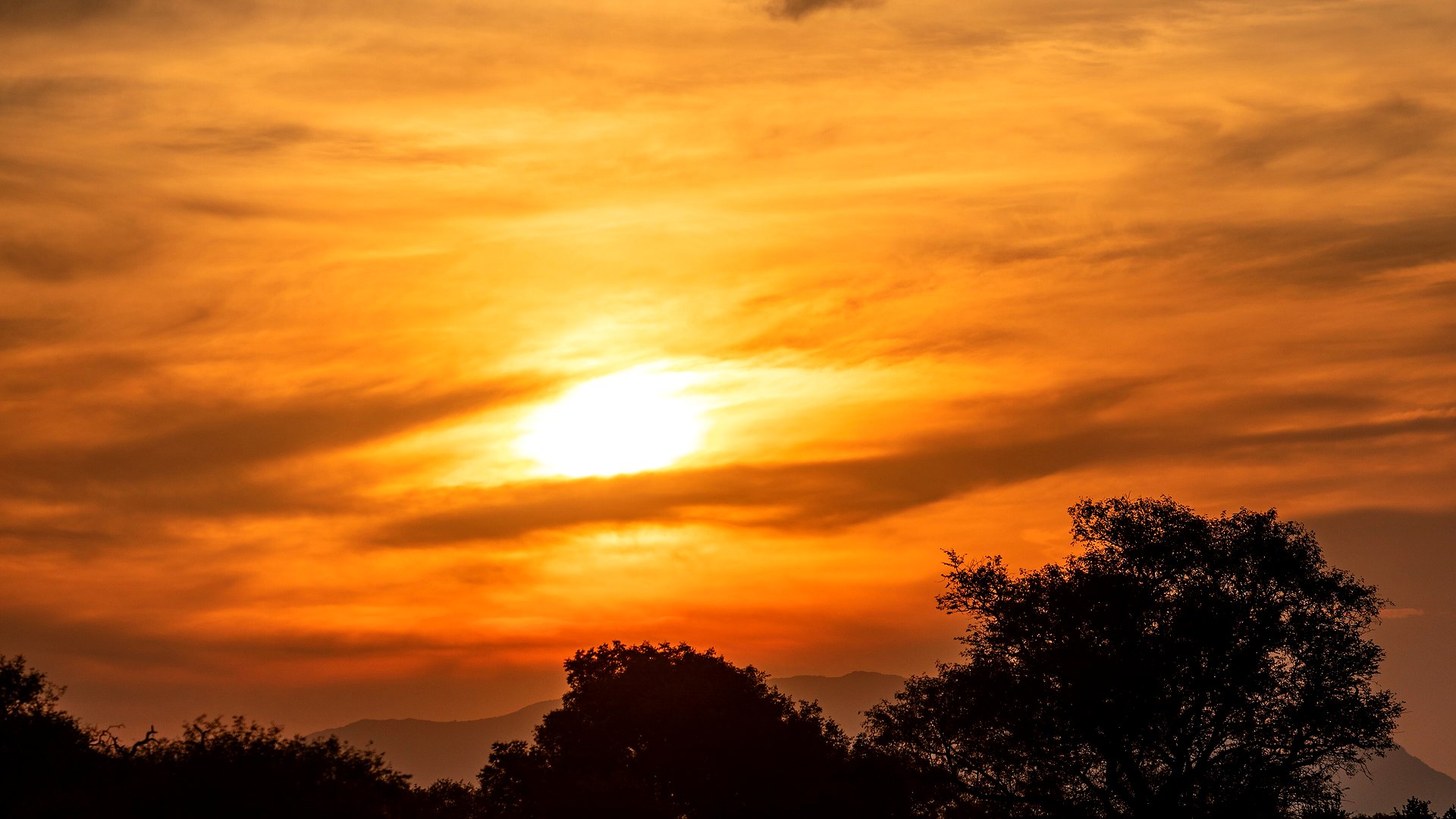 A golden African sunset over the bush in KwaZulu-Natal — the setting for a honeymoon safari
