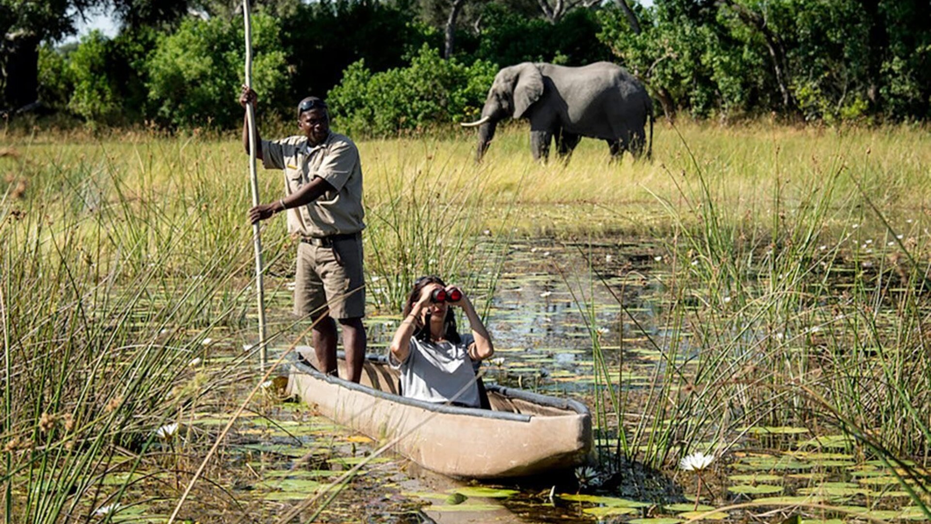 Aerial view of the Okavango Delta's channels and islands on a luxury Botswana safari