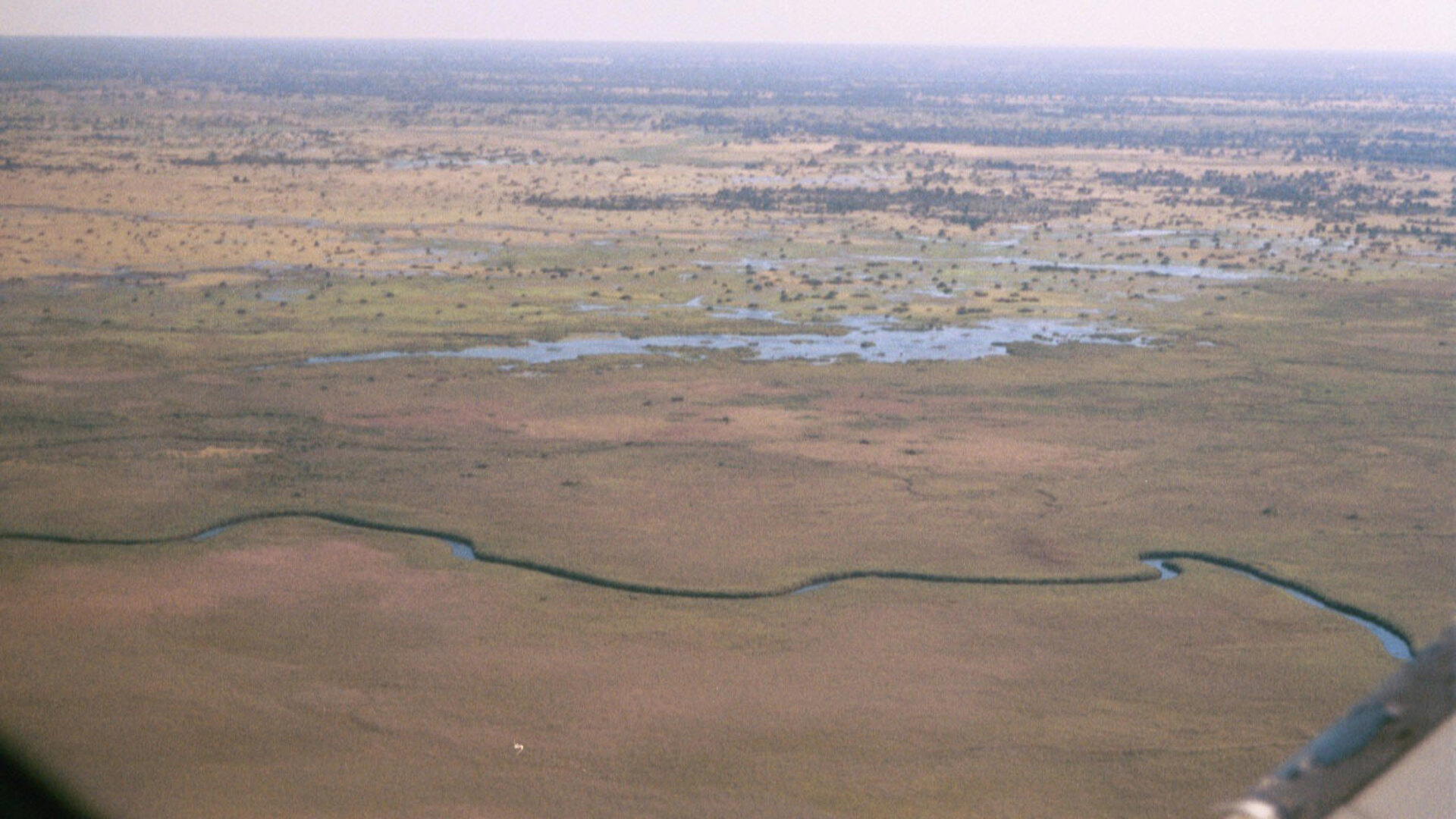 Aerial view of the water channels and palm islands of the Okavango Delta, one of the regions welcoming major new luxury safari lodges in 2027