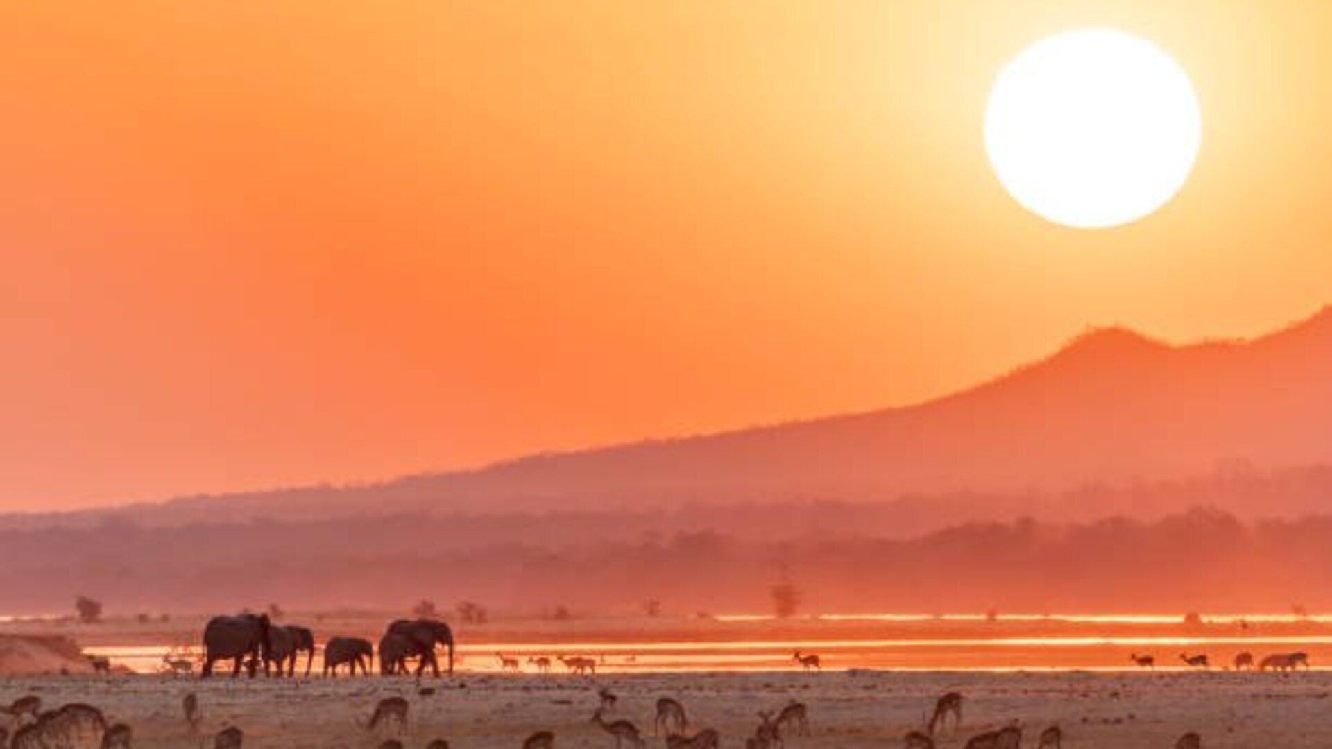 Sunset over the Chobe River with elephants along the banks