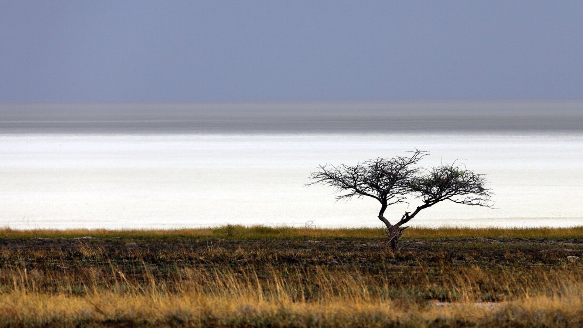 The vast white Etosha Pan stretching to the horizon under a huge Namibian sky