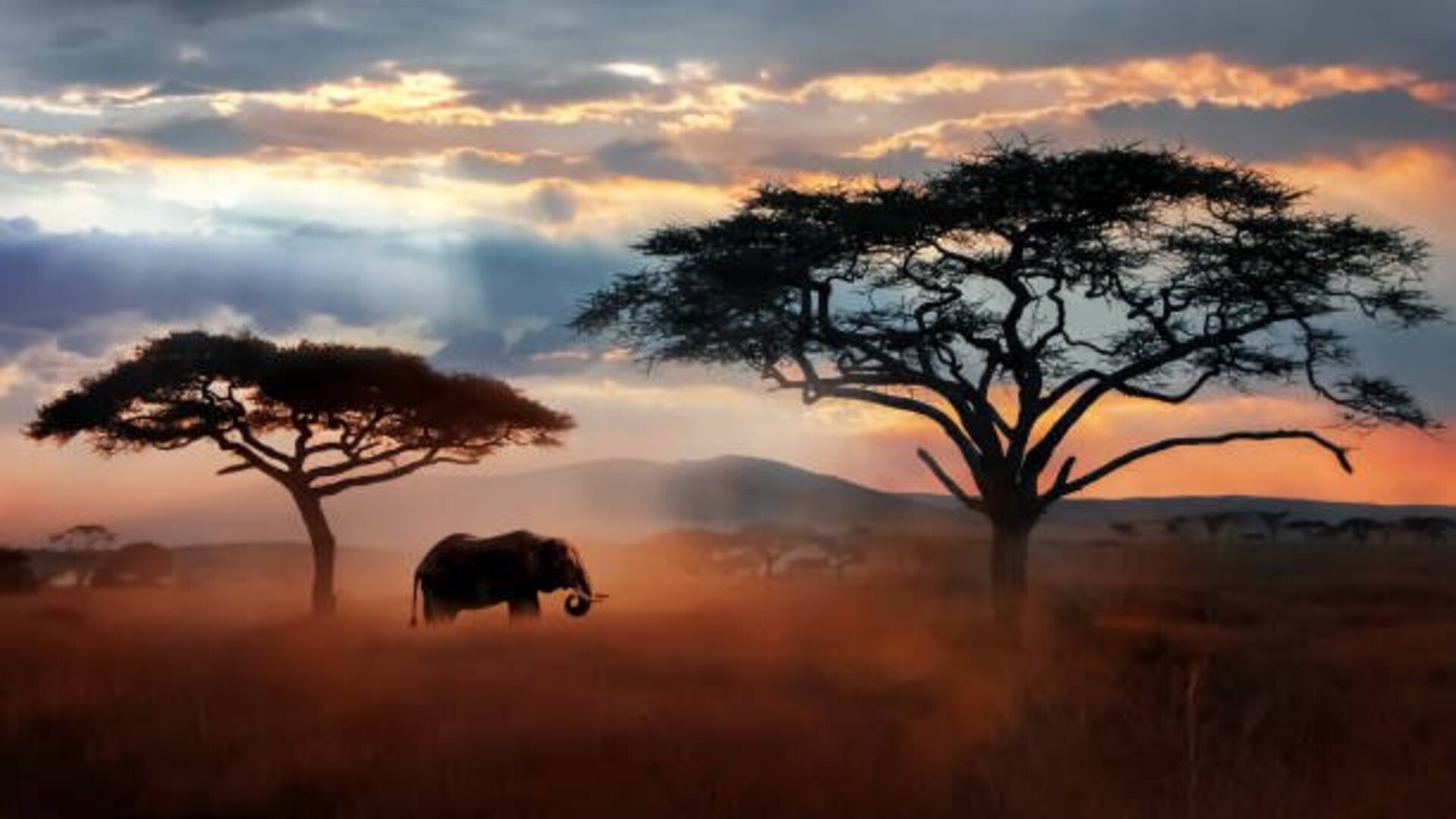 Endless Serengeti plains stretching to the horizon under a vast sky