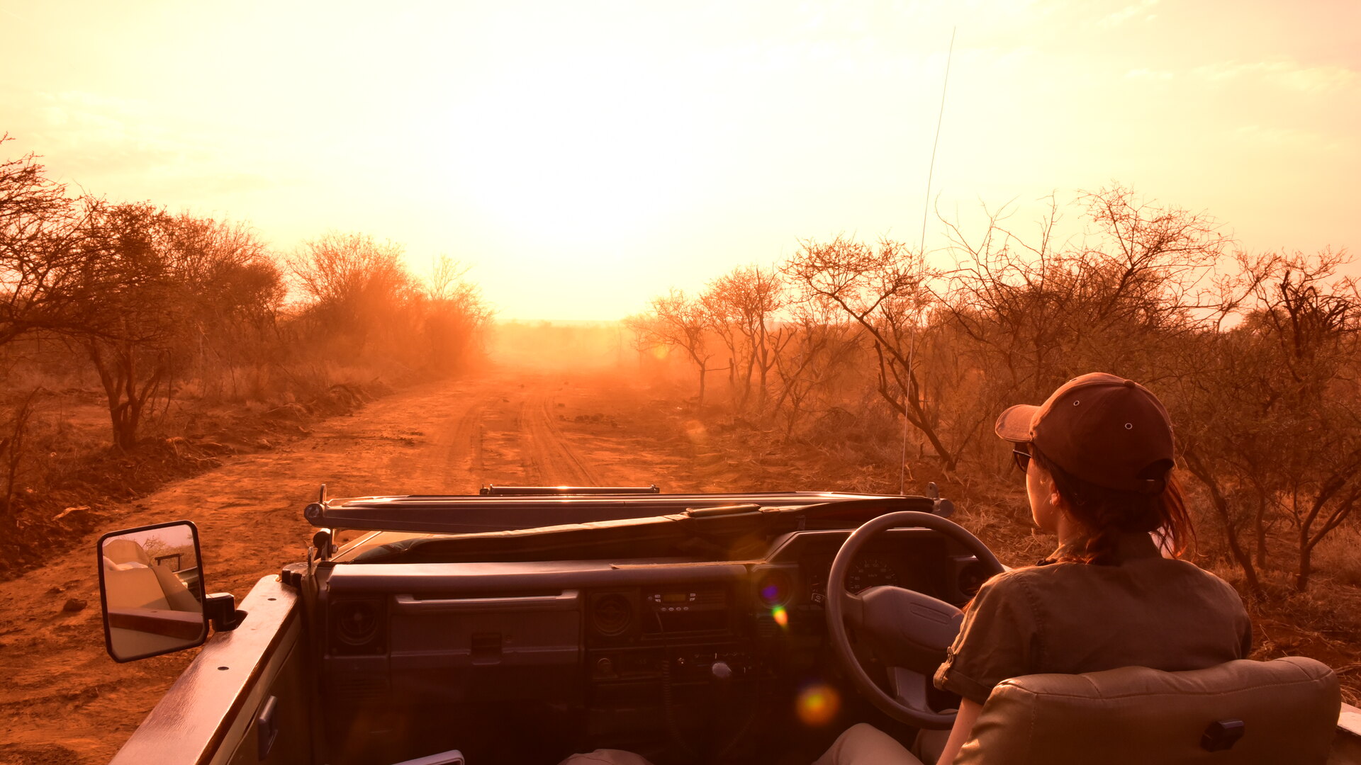 A golden Madikwe sunset over the malaria-free bushveld — South Africa's most romantic Big Five reserve for honeymoons and bush weddings