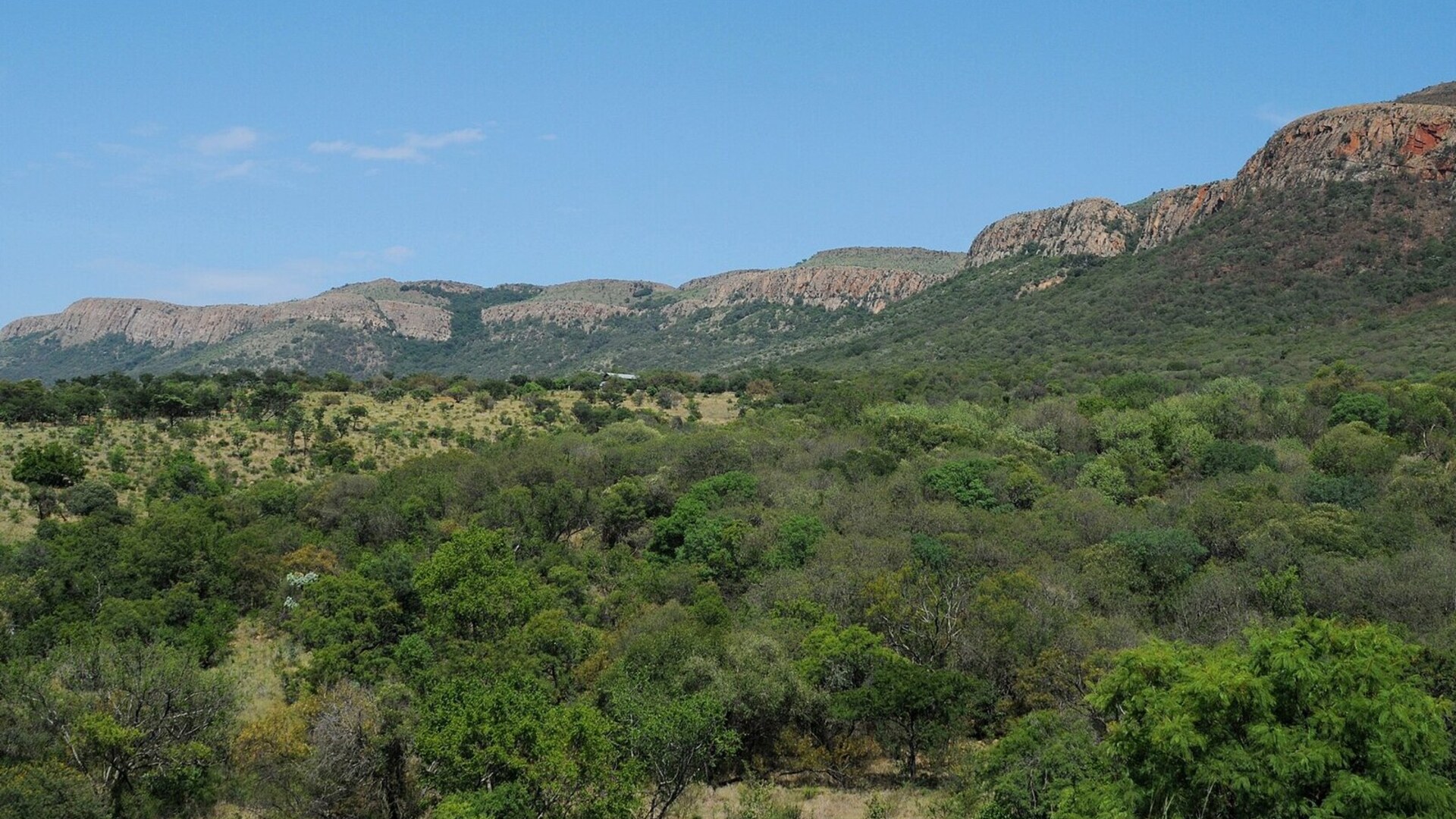 Golden-hour bushveld in the malaria-free North West province, comparing Madikwe and Pilanesberg game reserves