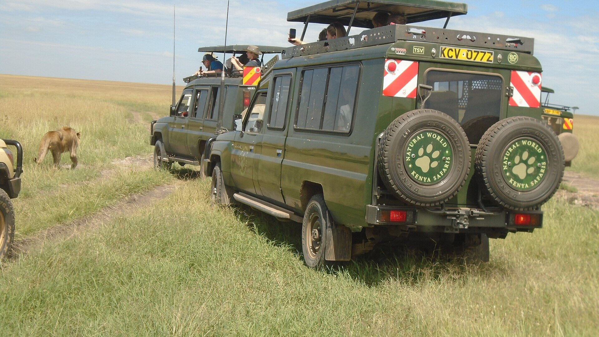 A private 4x4 safari vehicle on a game drive among wildlife on the golden plains of Kenya's Masai Mara