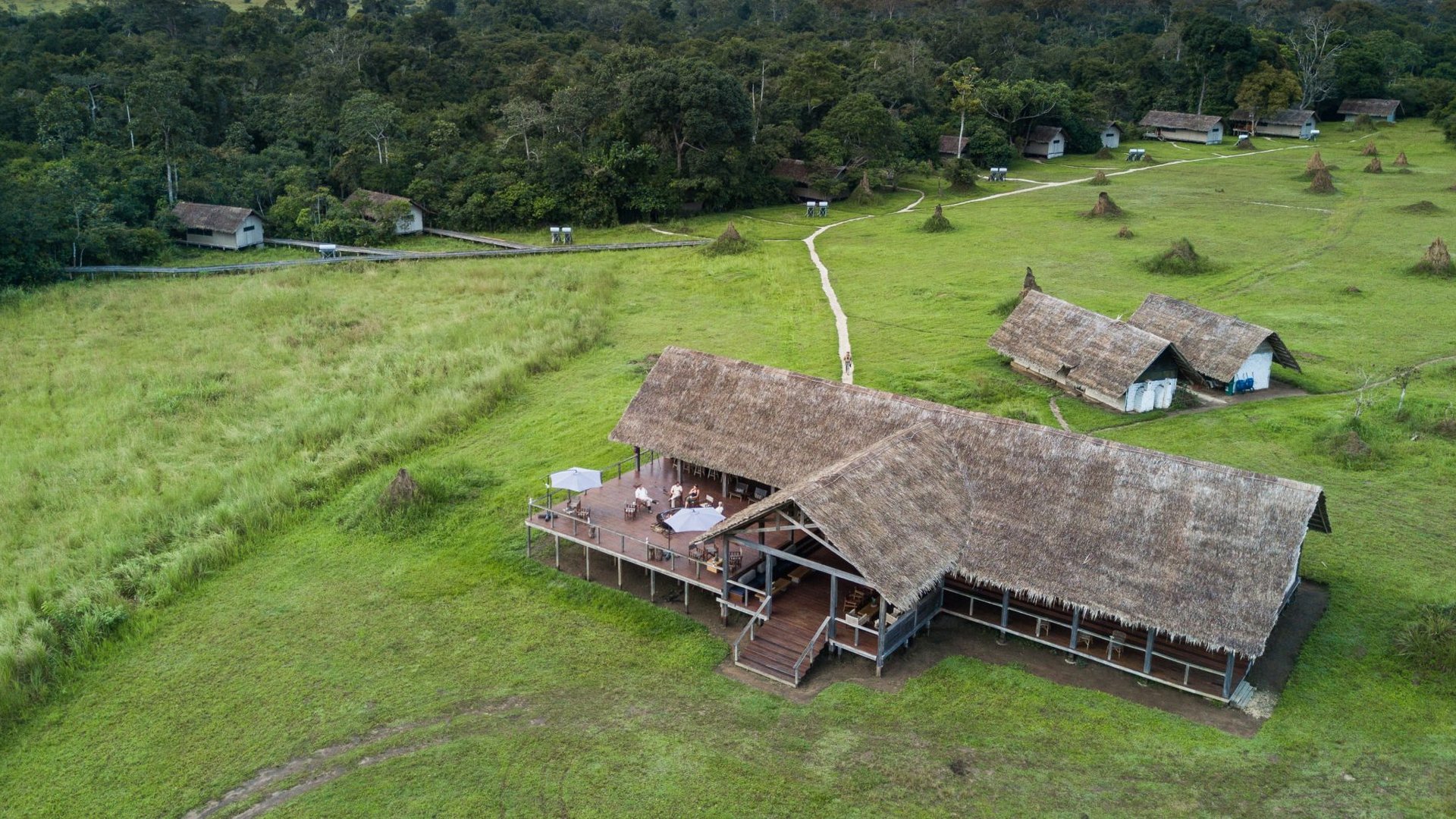 Mboko Camp Review: Odzala's Premier River & Savanna Safari Lodge (2026 Guide)