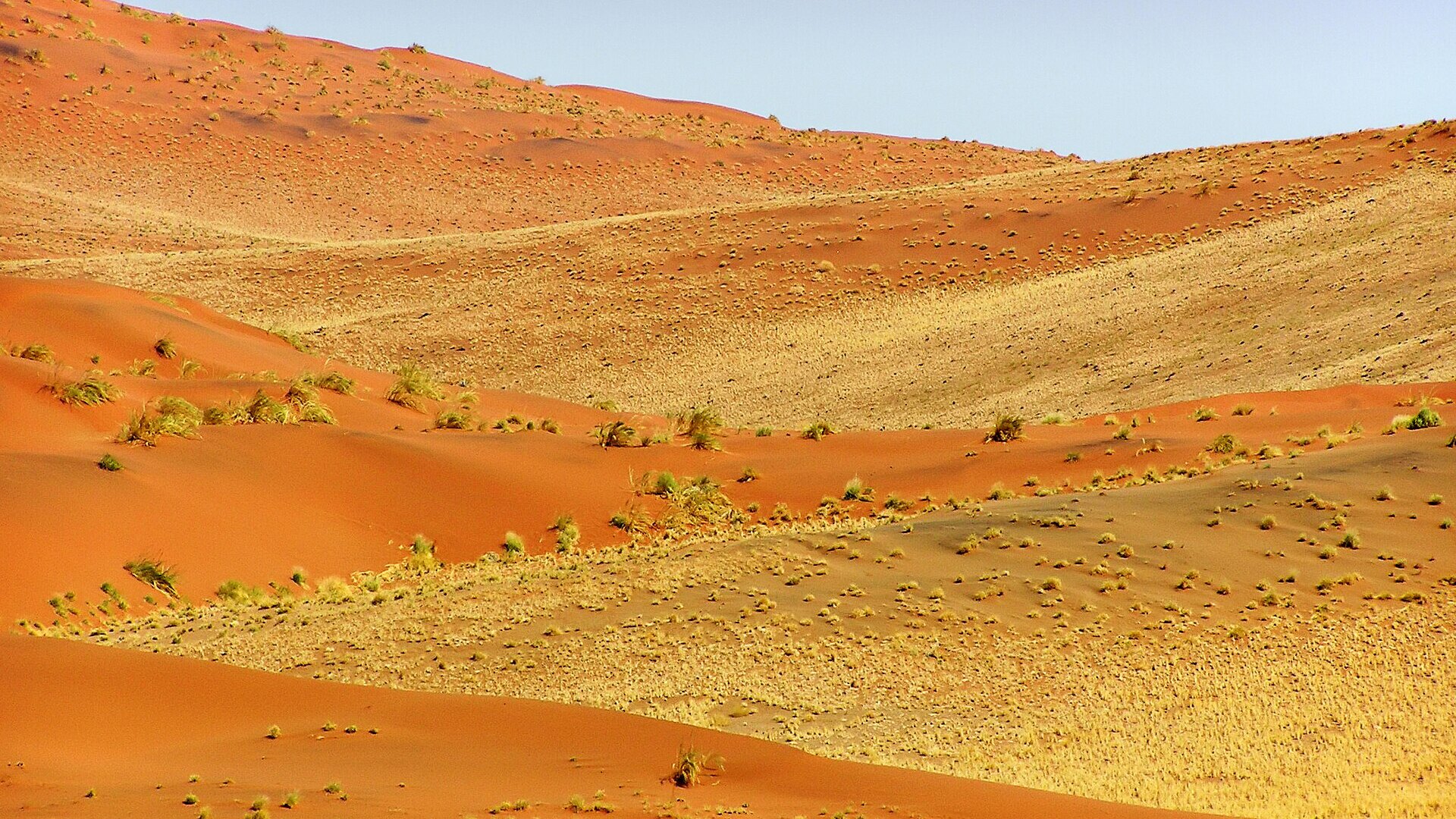 Red dunes of Sossusvlei at golden hour, Namibia — the world's oldest desert and Africa's most extraordinary safari destination — Top 10 Best Namibia safari packages 2026 and 2027