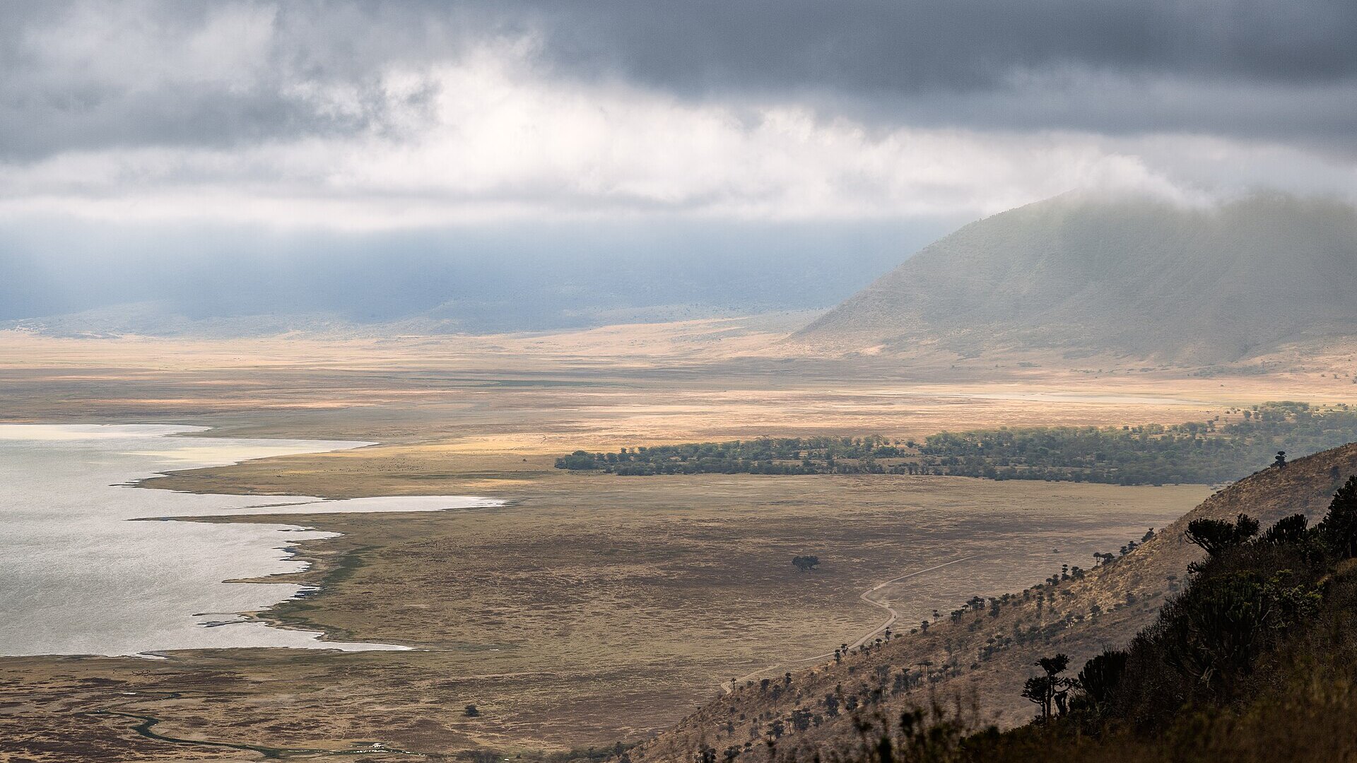 Misty dawn panorama of Ngorongoro Crater from the rim, where luxury lodges overlook the world's largest intact volcanic caldera in Tanzania