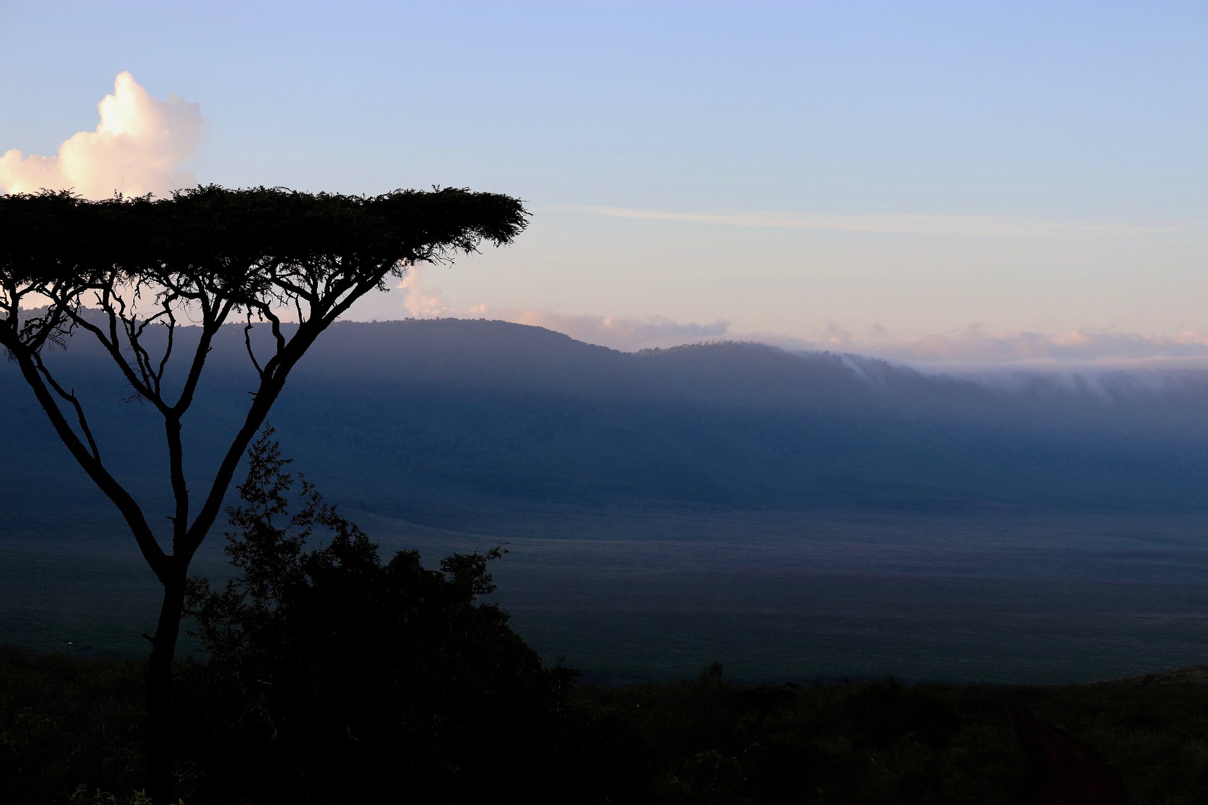 A lone acacia silhouetted against the golden morning light over the Ngorongoro Crater floor, Tanzania — Ngorongoro Crater safari packages 2026