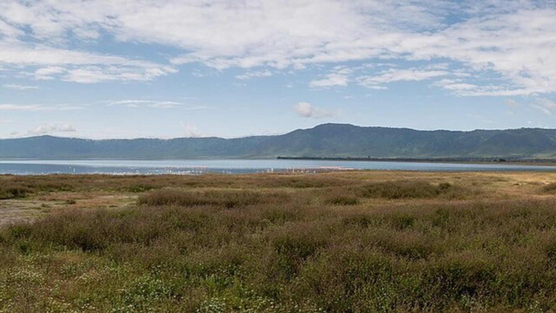 The vast floor of the Ngorongoro Crater seen from the rim, a soda lake shining across the caldera