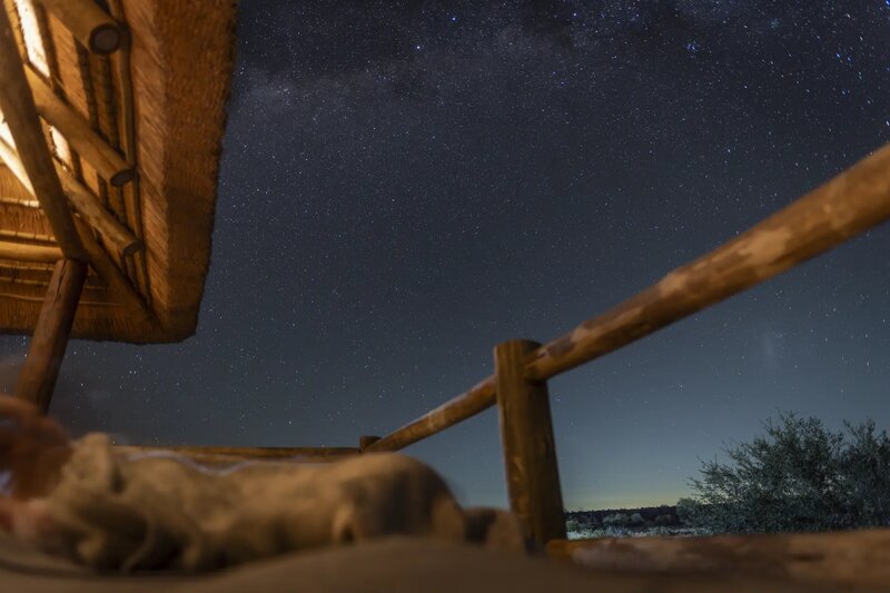 nThambo Tree Camp's elevated treehouse suite nestled in the canopy of the Klaserie Private Nature Reserve