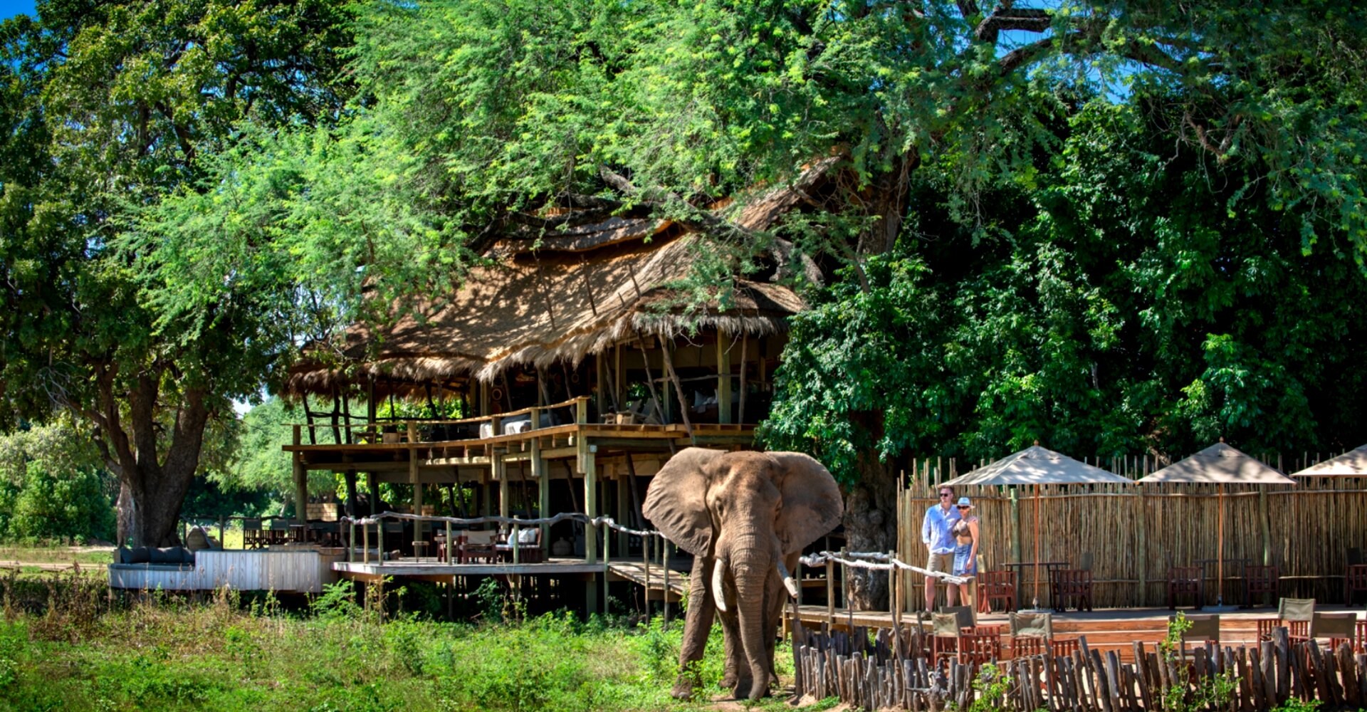 Nyamatusi Camp main area with elephant visiting the deck, Mana Pools