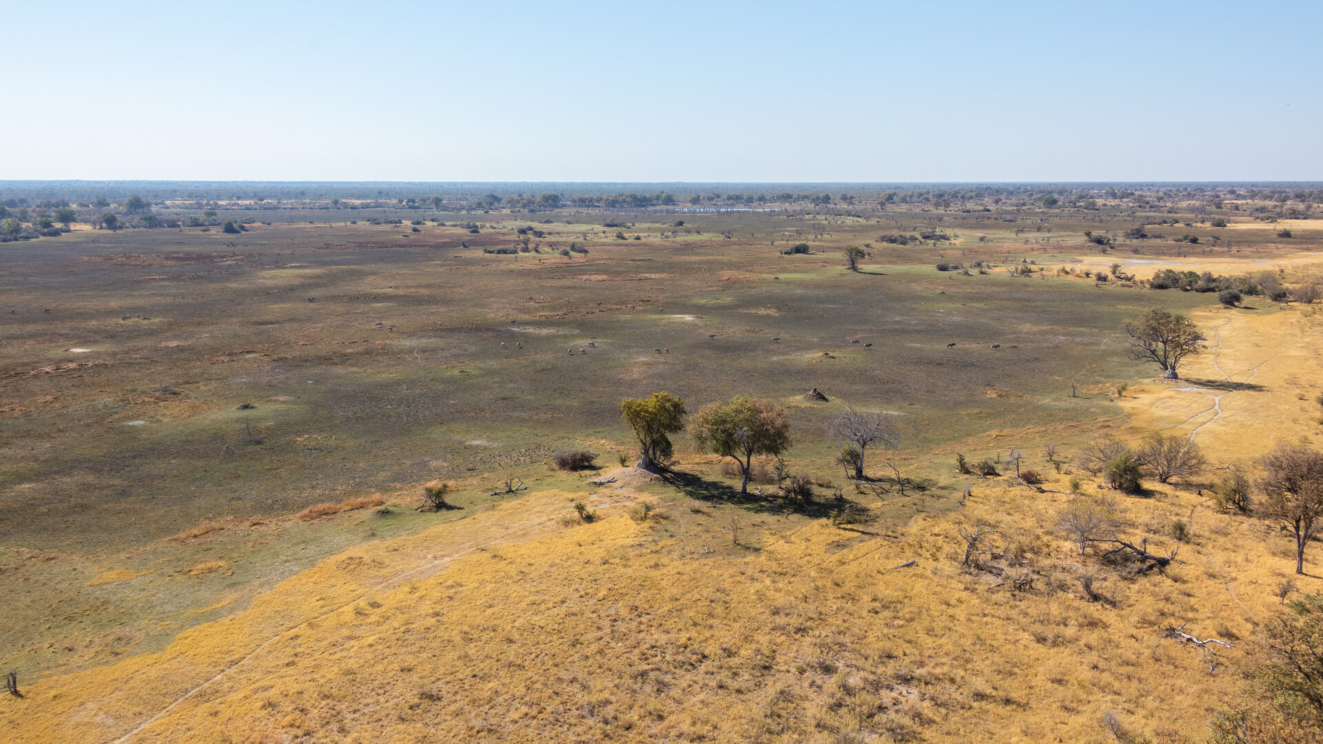 An aerial view of the Okavango Delta's silver channels and emerald islands in Botswana contrasted with the classic bushveld of Kruger National Park