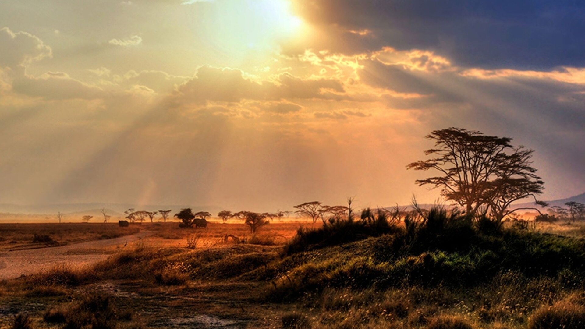 Private Safari Tours South Africa — Luxury Safaris & Cape Town Combos — luxury private safaris