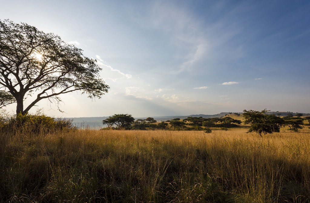 Queen Elizabeth National Park safari landscape