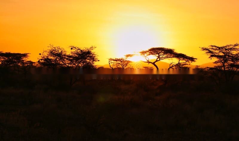 Ruaha National Park safari landscape