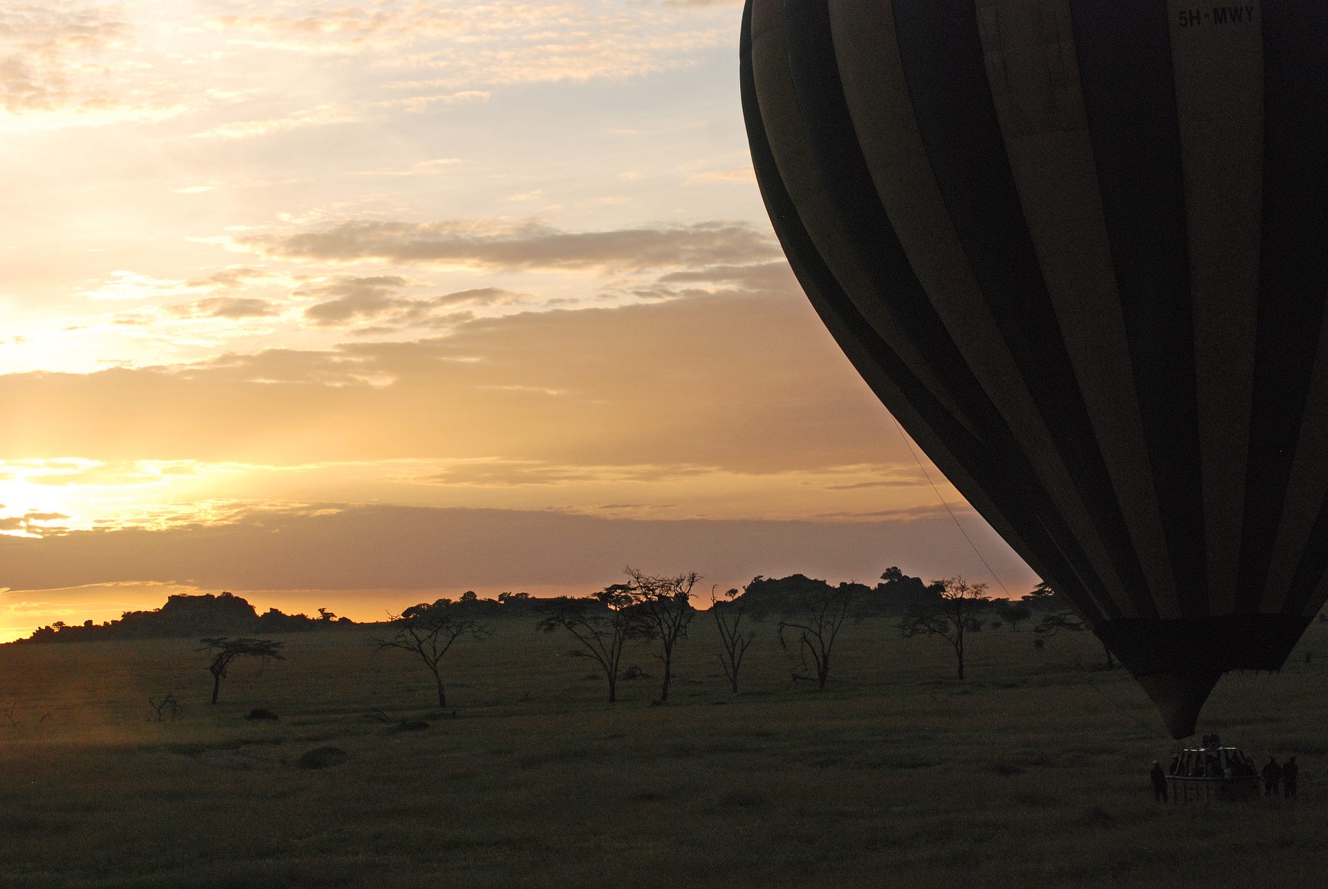 Serene golden-hour view over the savannah — the restorative calm at the heart of a wellness safari