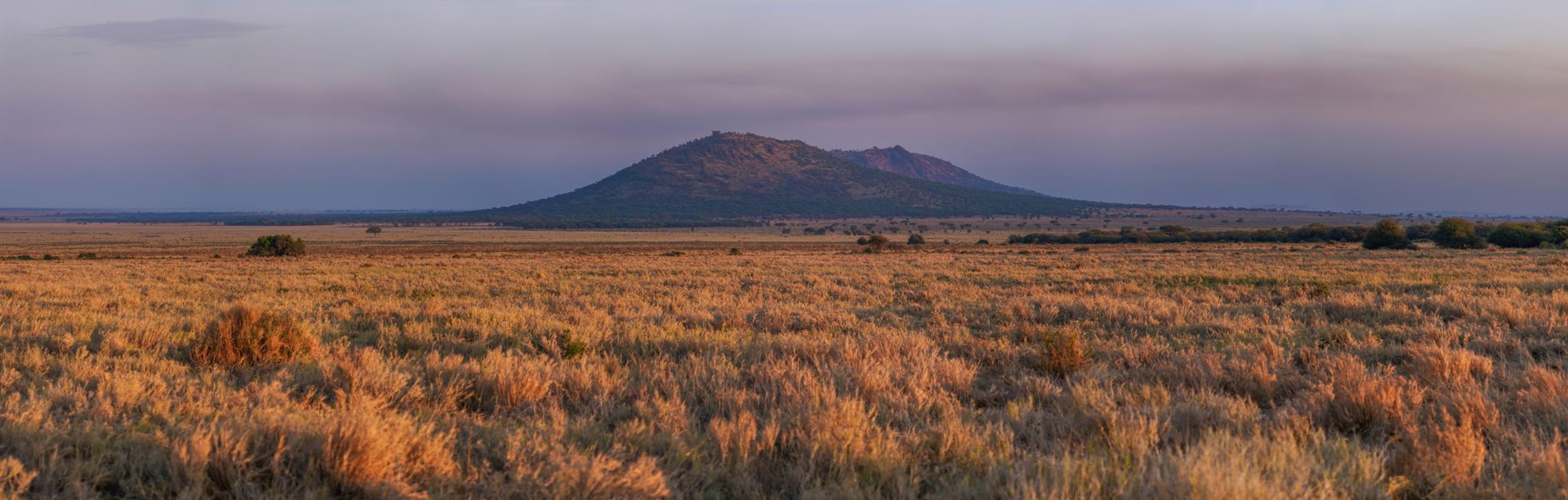 Golden-hour view across the Serengeti plains with acacia trees, the classic first-safari scene for American travelers