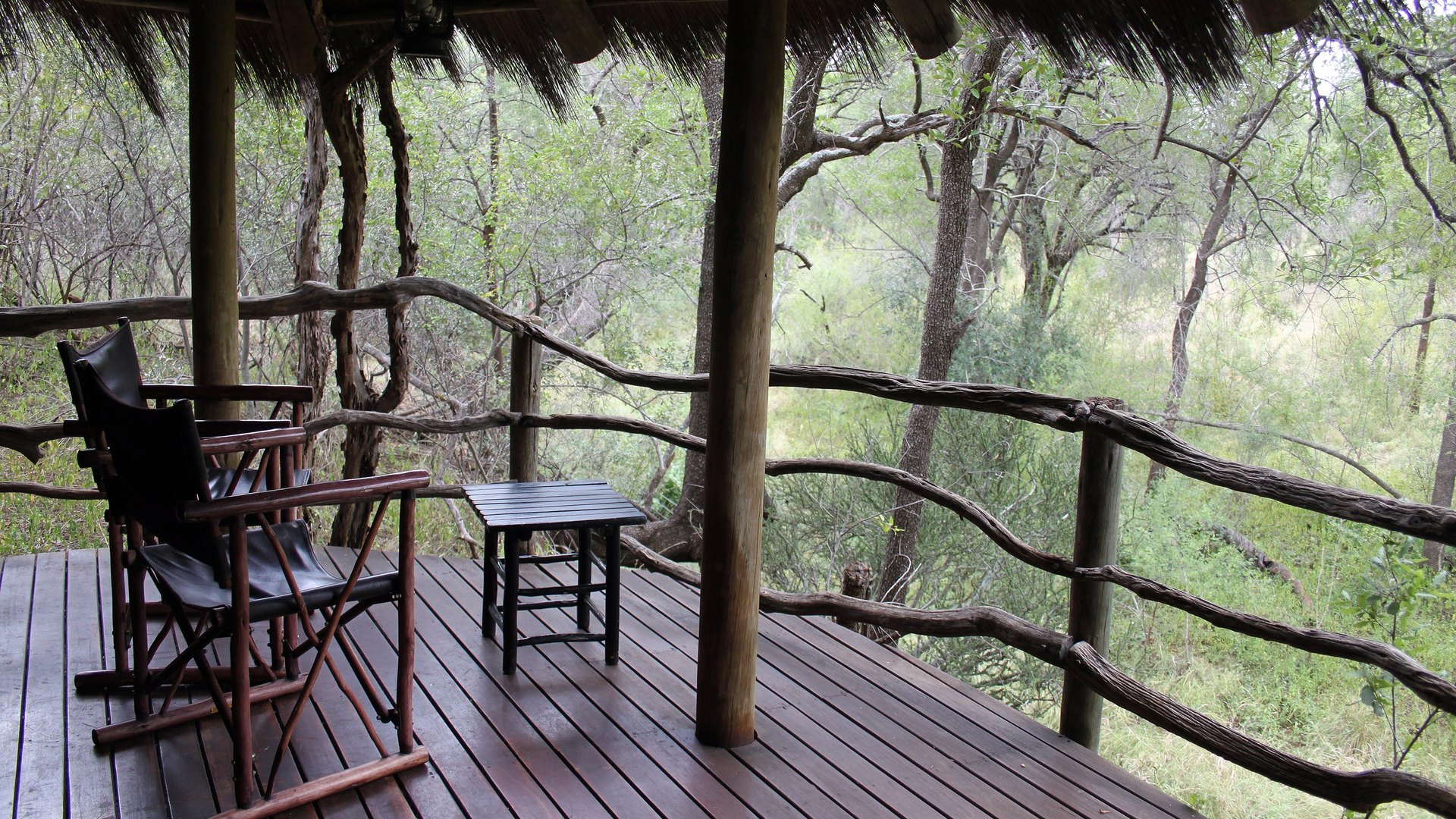 Raised timber viewing deck at a malaria-free Madikwe lodge overlooking the bush, set up for comfort-first senior safari travellers