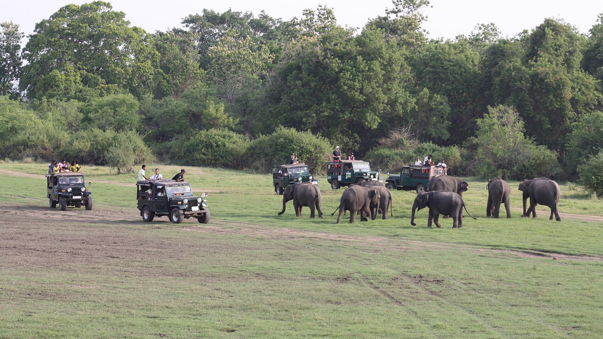 Safari With Kids: Best Age, Lodges & What to Expect — Beyond Africa Safaris
