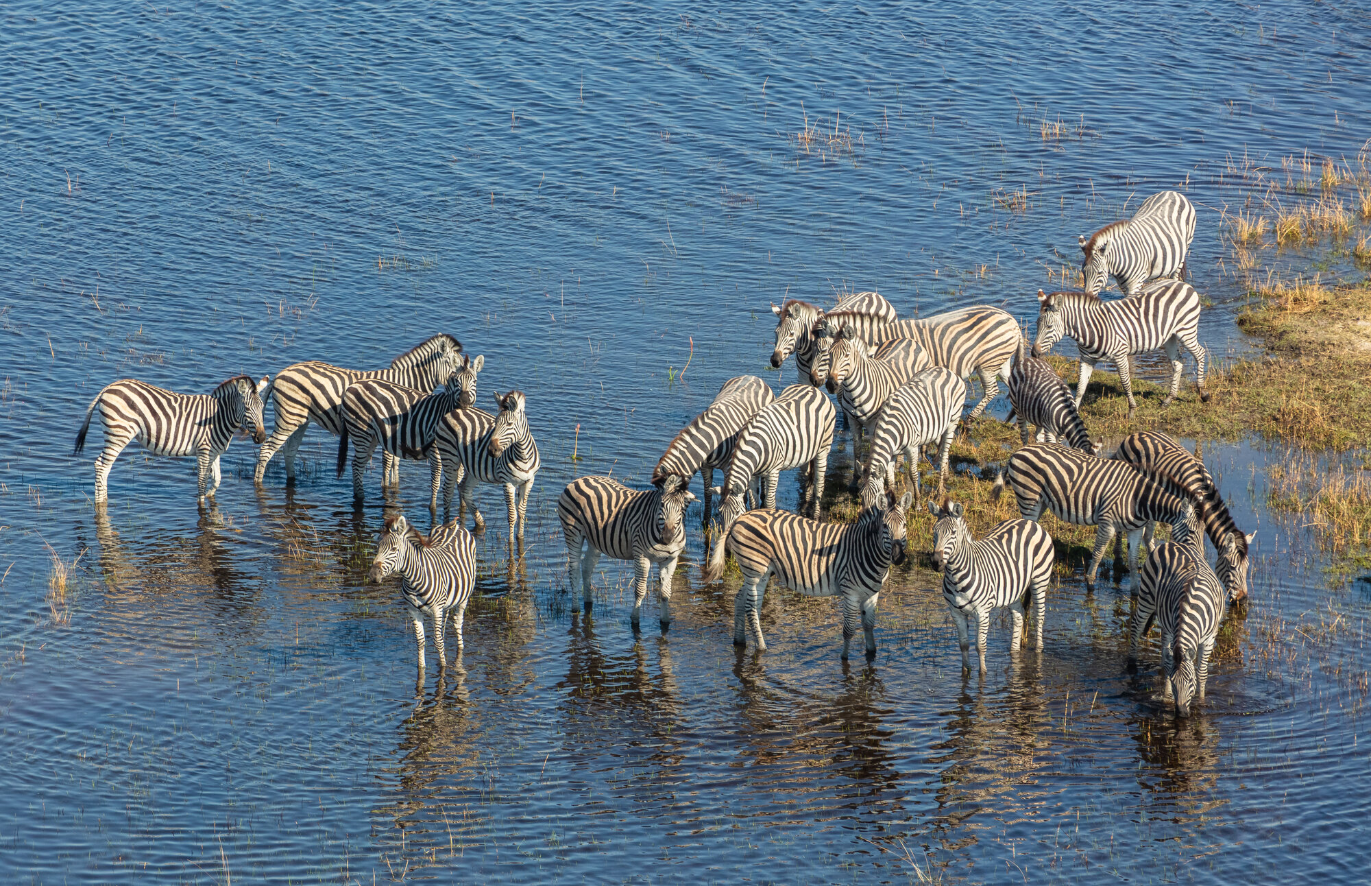Aerial view of the Okavango Delta, Botswana — Africa's safest and most exclusive safari destination