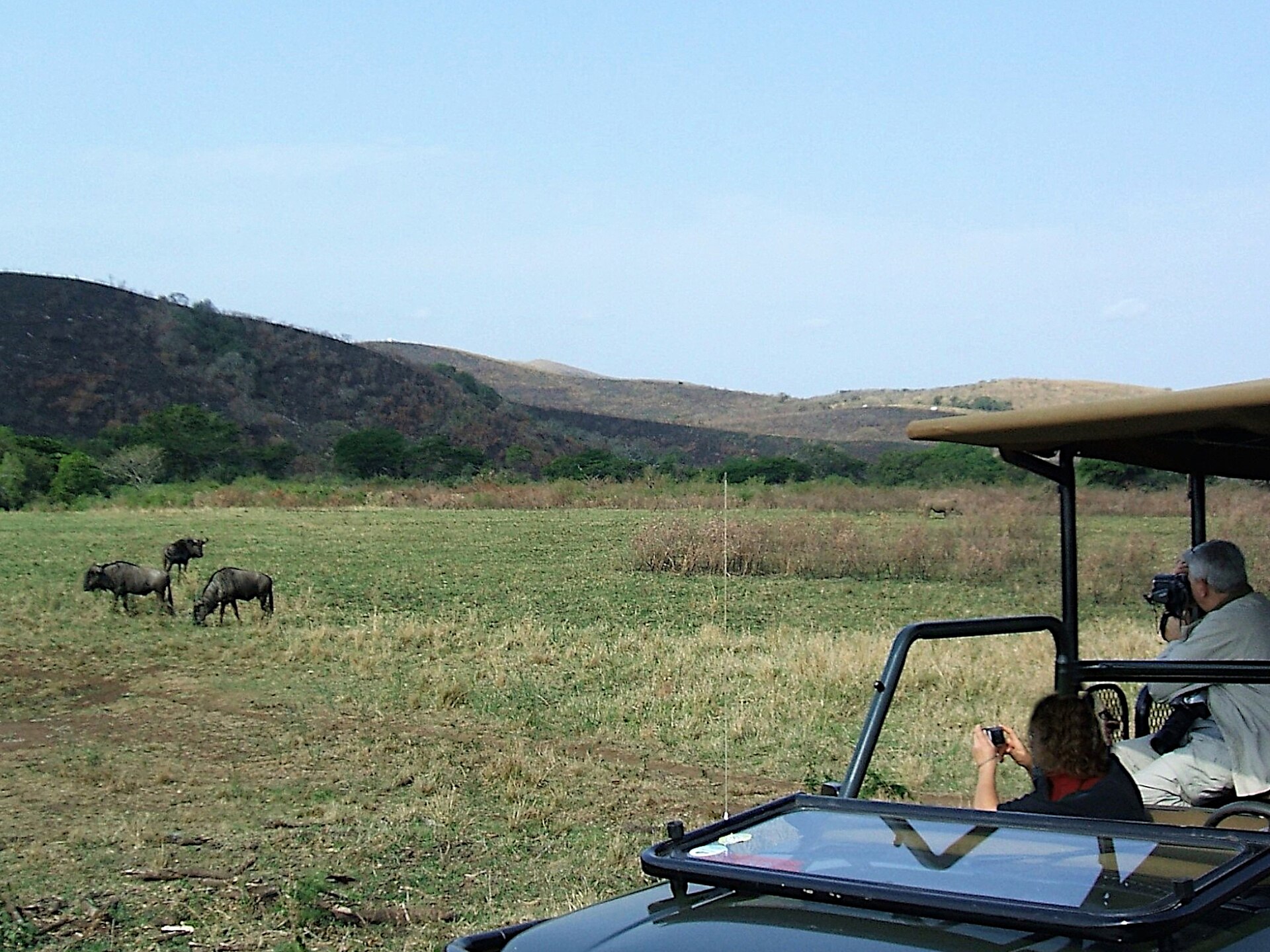 A safari vehicle on a game-viewing road in a KwaZulu-Natal reserve with wildlife on the plains