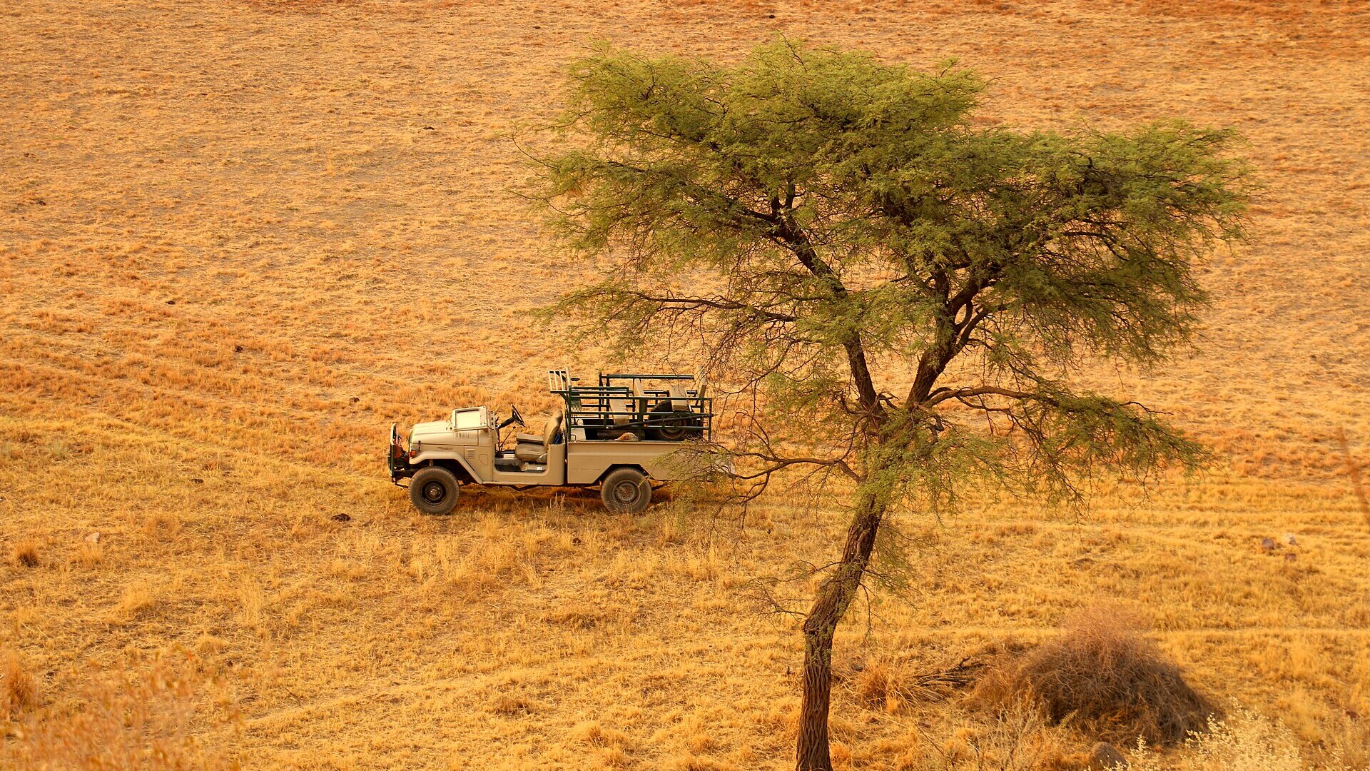A fully-equipped 4x4 beneath an acacia tree on a self-drive safari expedition in Botswana