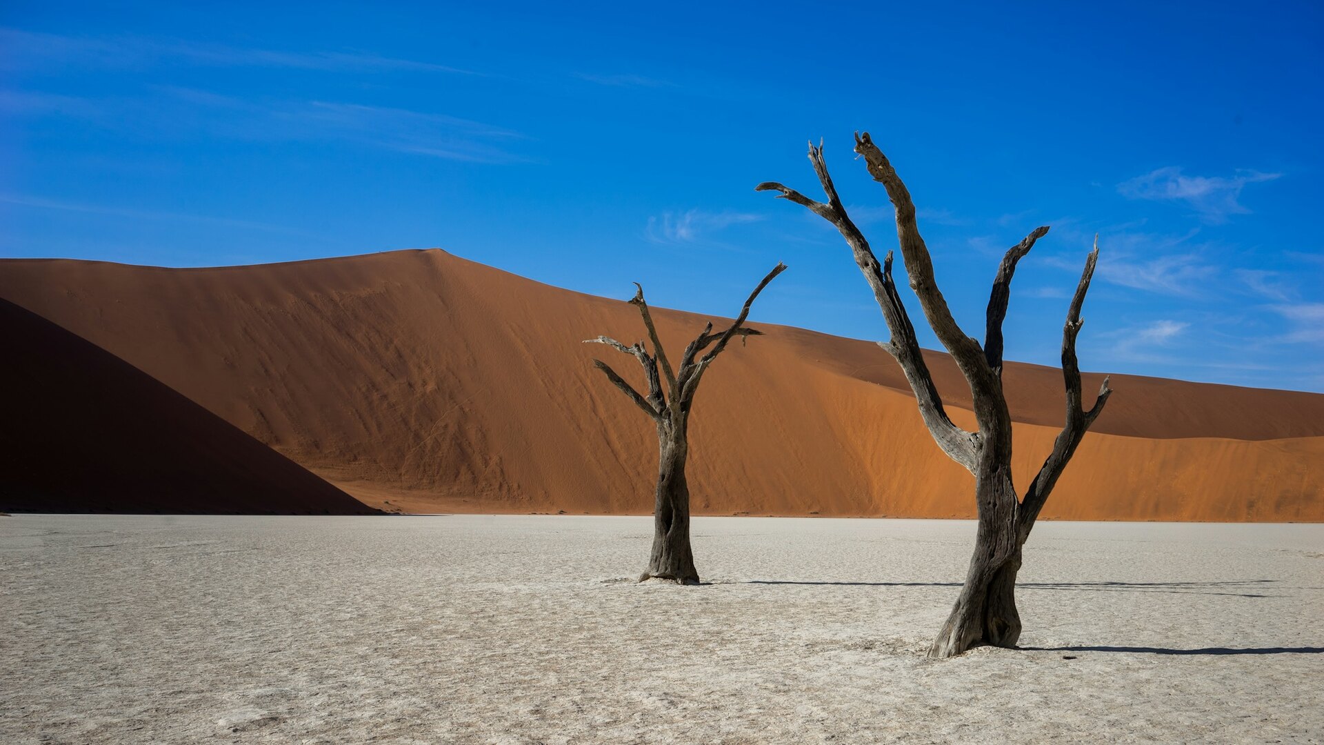 The dead camelthorn trees of Deadvlei beneath a towering red dune at Sossusvlei, Namibia — the start of the desert-to-delta self-drive route