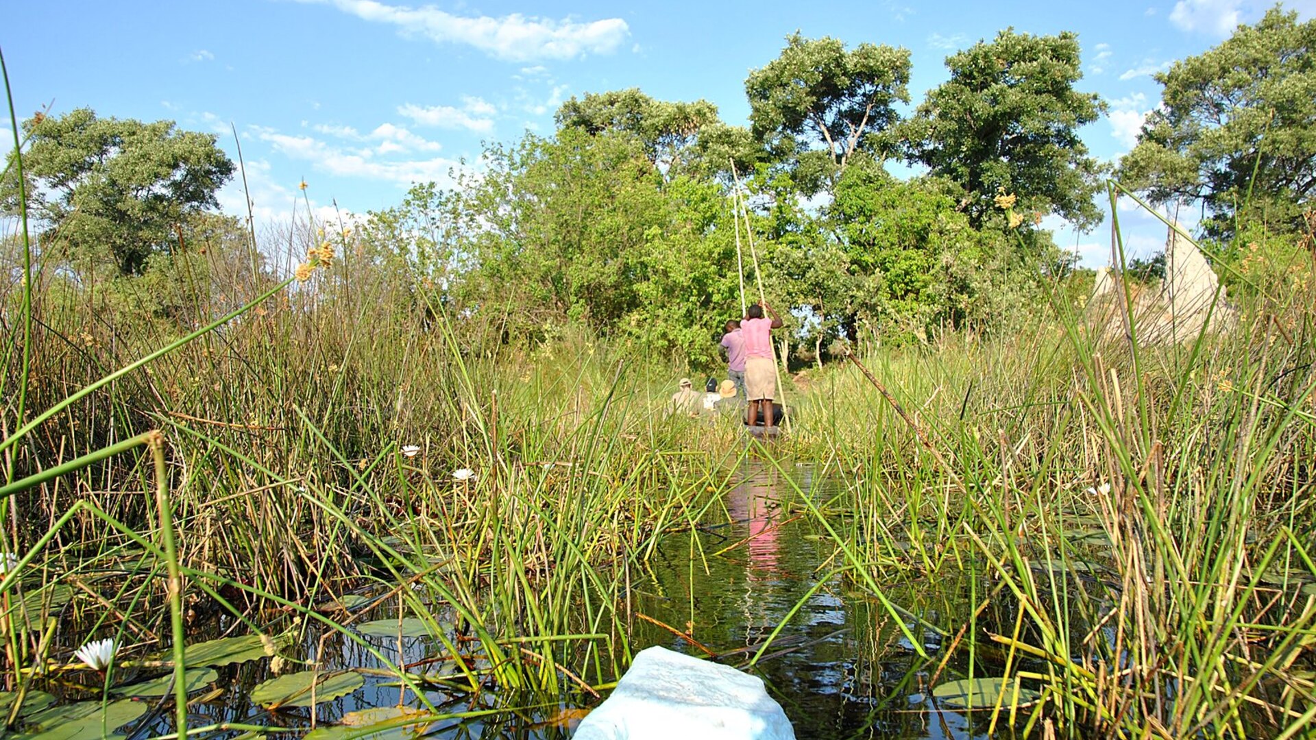 Senior couple enjoying mokoro canoe safari on calm Okavango Delta waters in Botswana