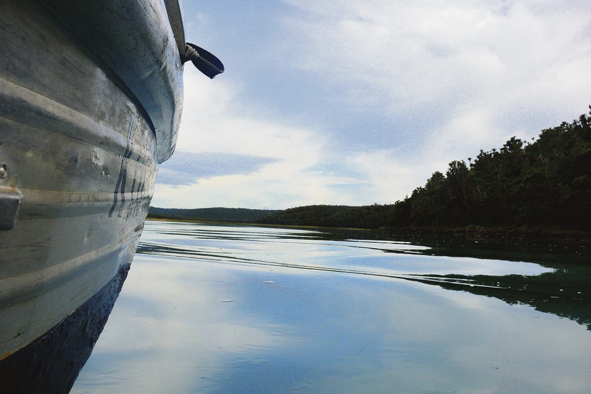 Boat transfer along the Kariega River estuary arriving at Sibuya Game Reserve in the Eastern Cape