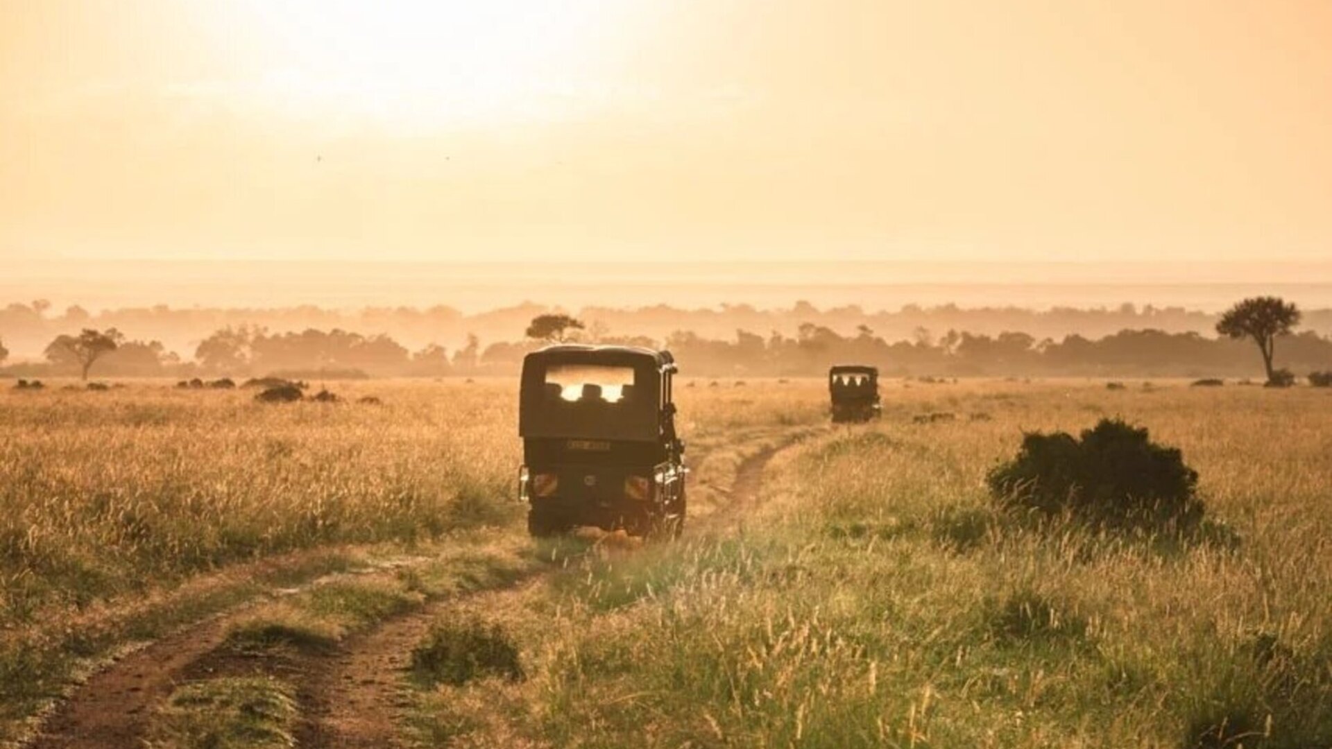 A small group of travellers on an open safari vehicle at sunrise watching wildlife