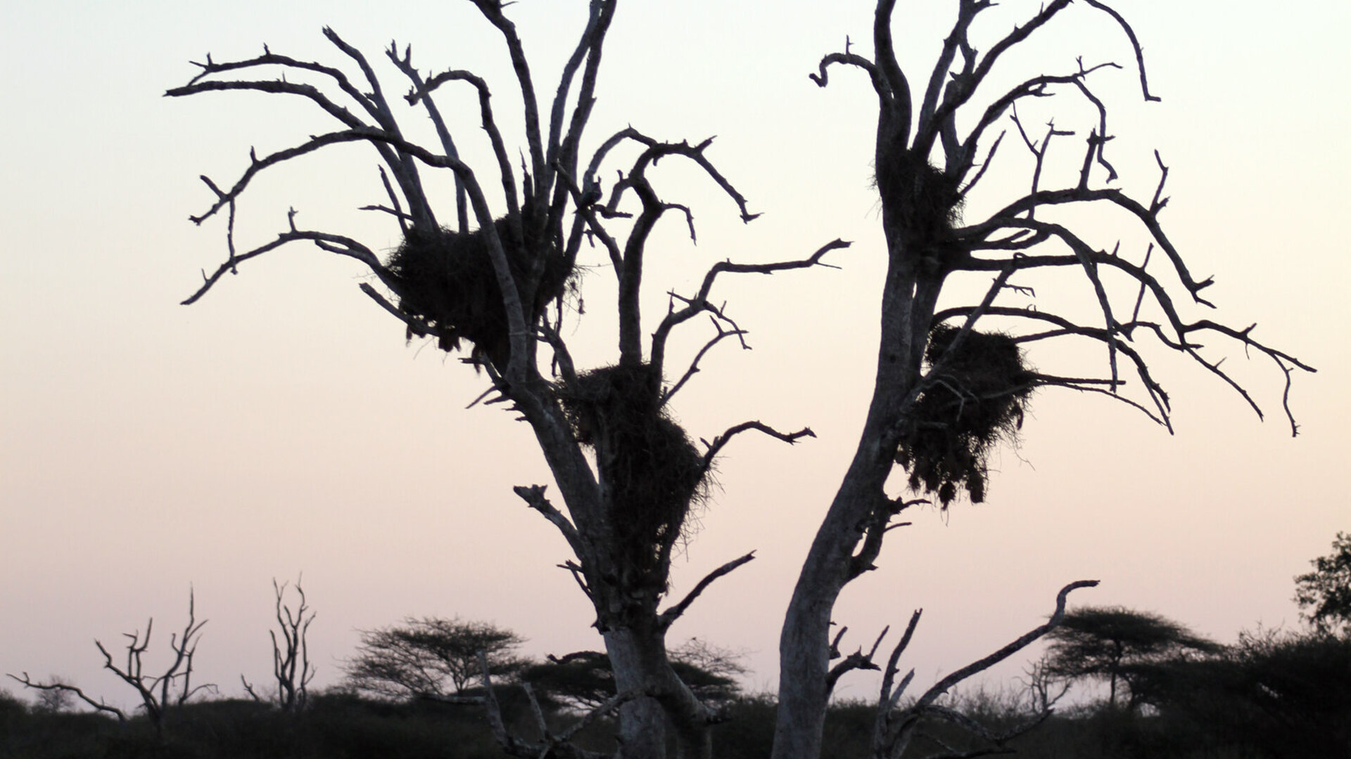 Small group on an open safari vehicle at sunrise in South Africa