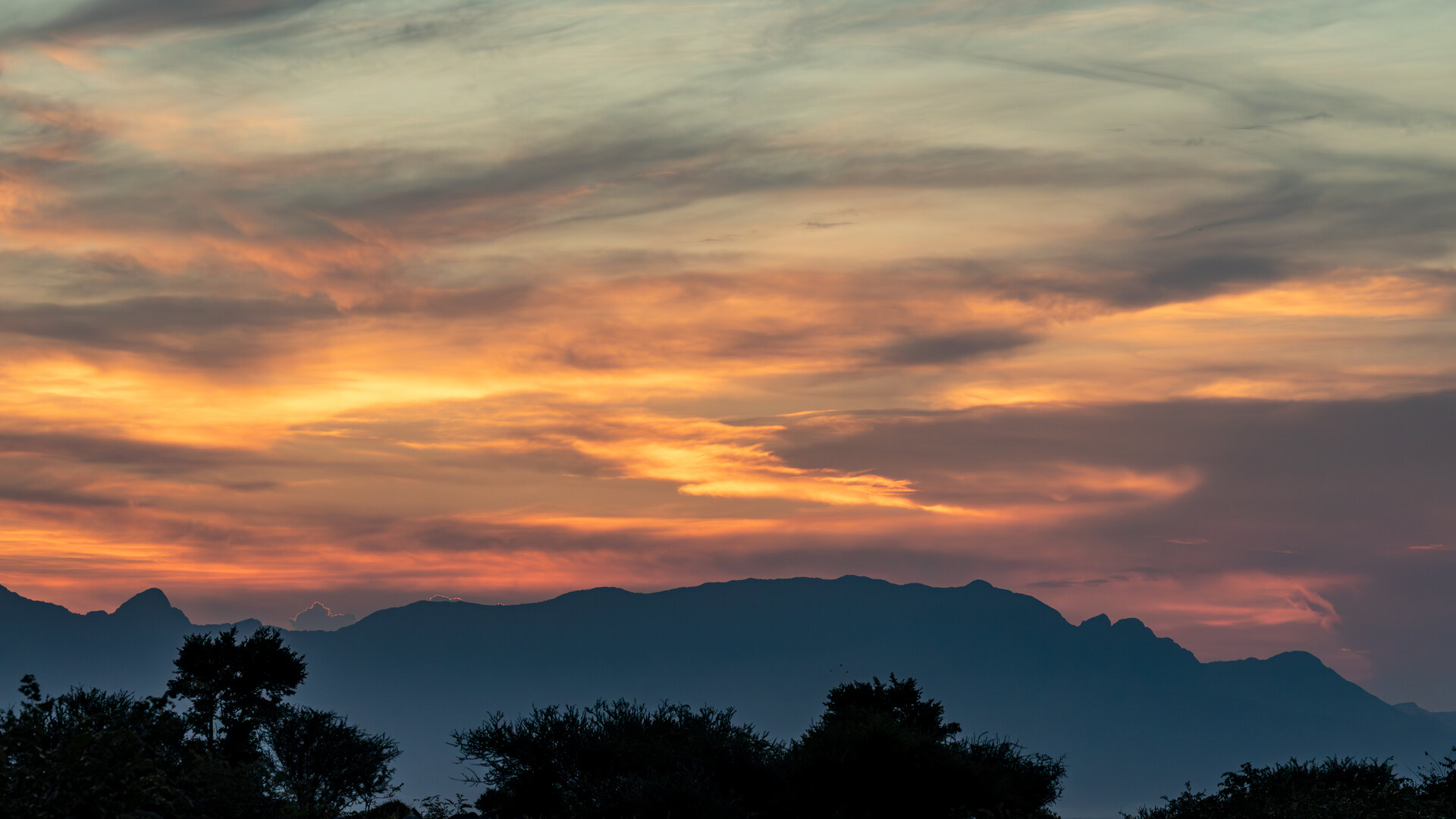 South Africa private safari tours — a private open 4x4 and guests alone at a golden-hour Big Five sighting