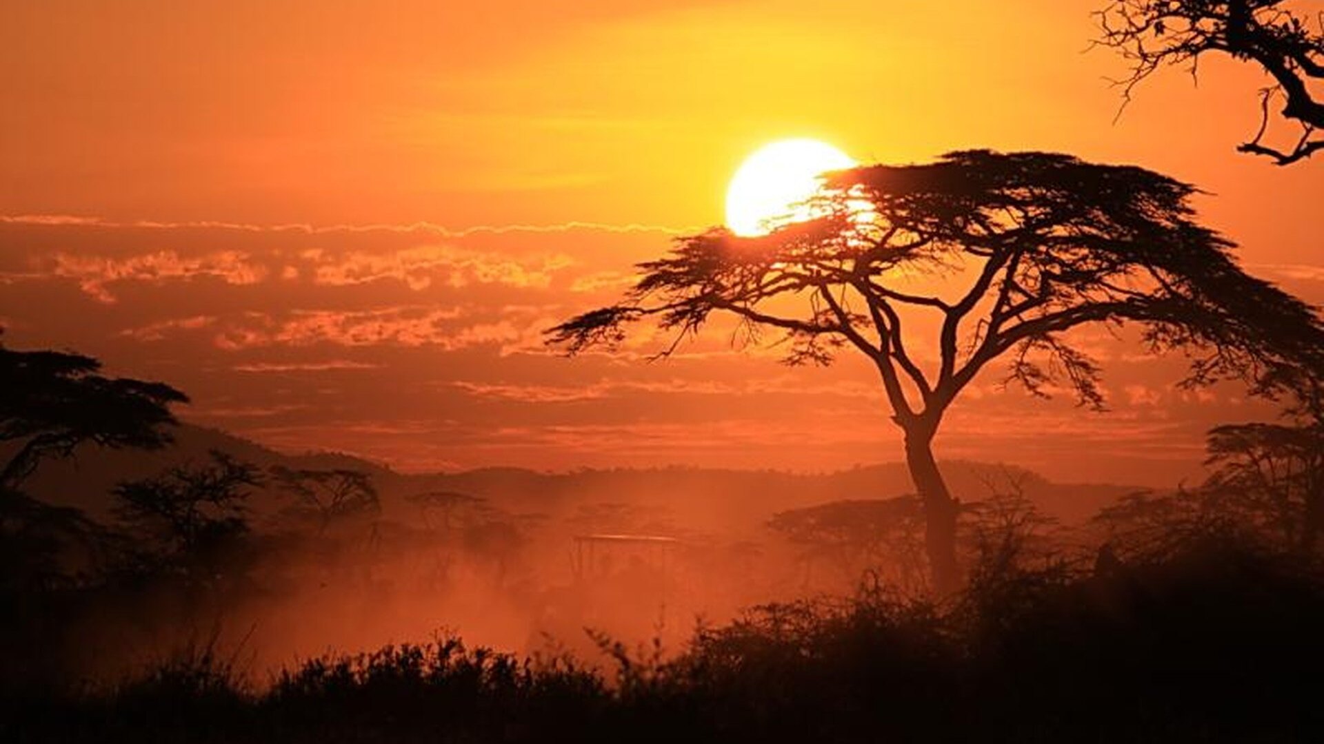 Golden-hour sun setting behind flat-top acacia trees on the Serengeti plains — Tanzania honeymoon safari with Beyond Africa Safaris