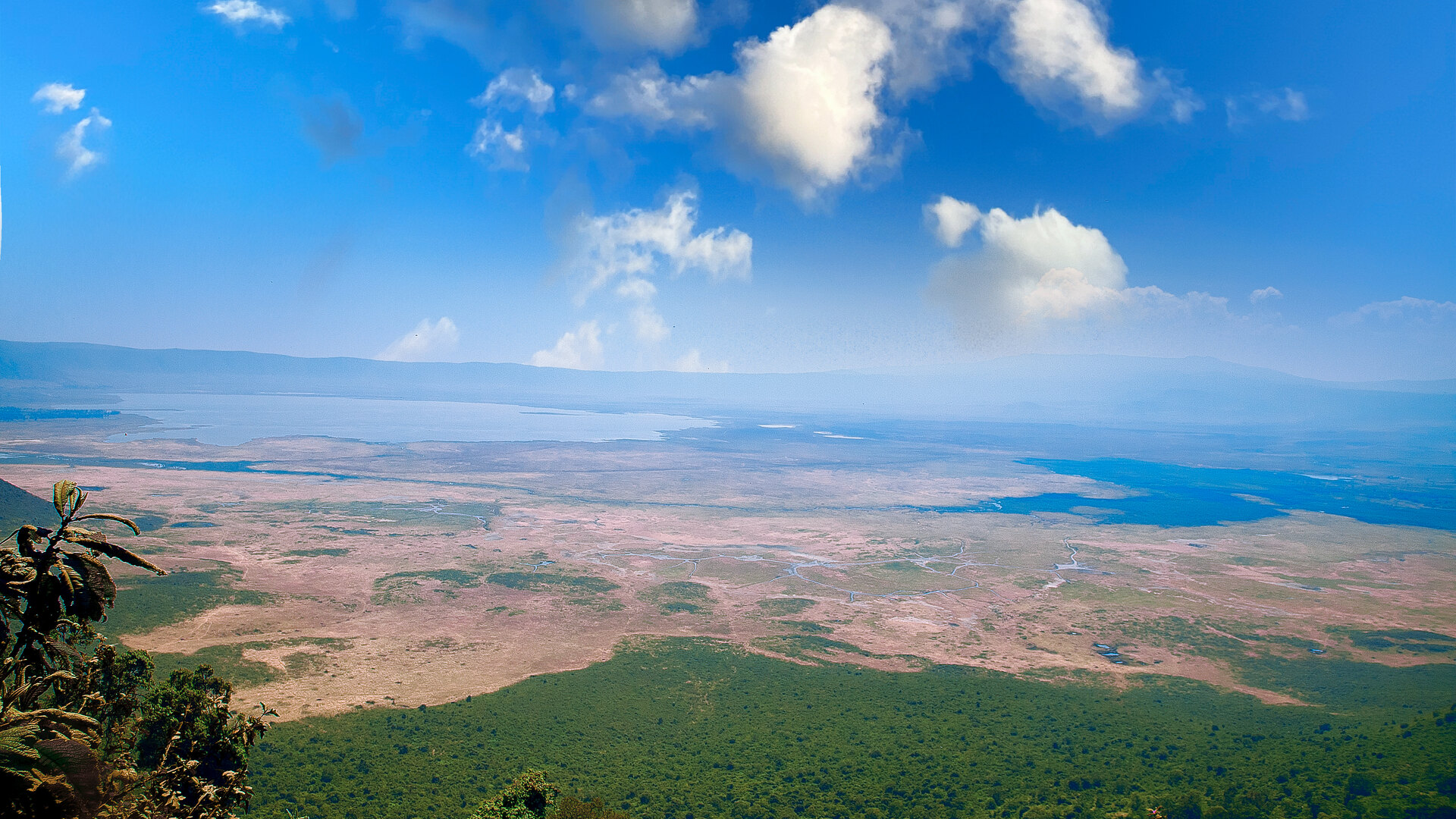 The endless golden plains of the Serengeti stretching to the horizon under blue sky