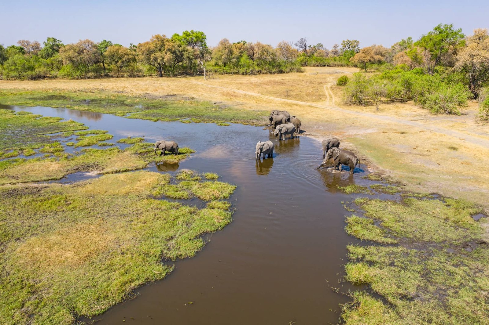 The Linyanti & Selinda Concessions safari landscape