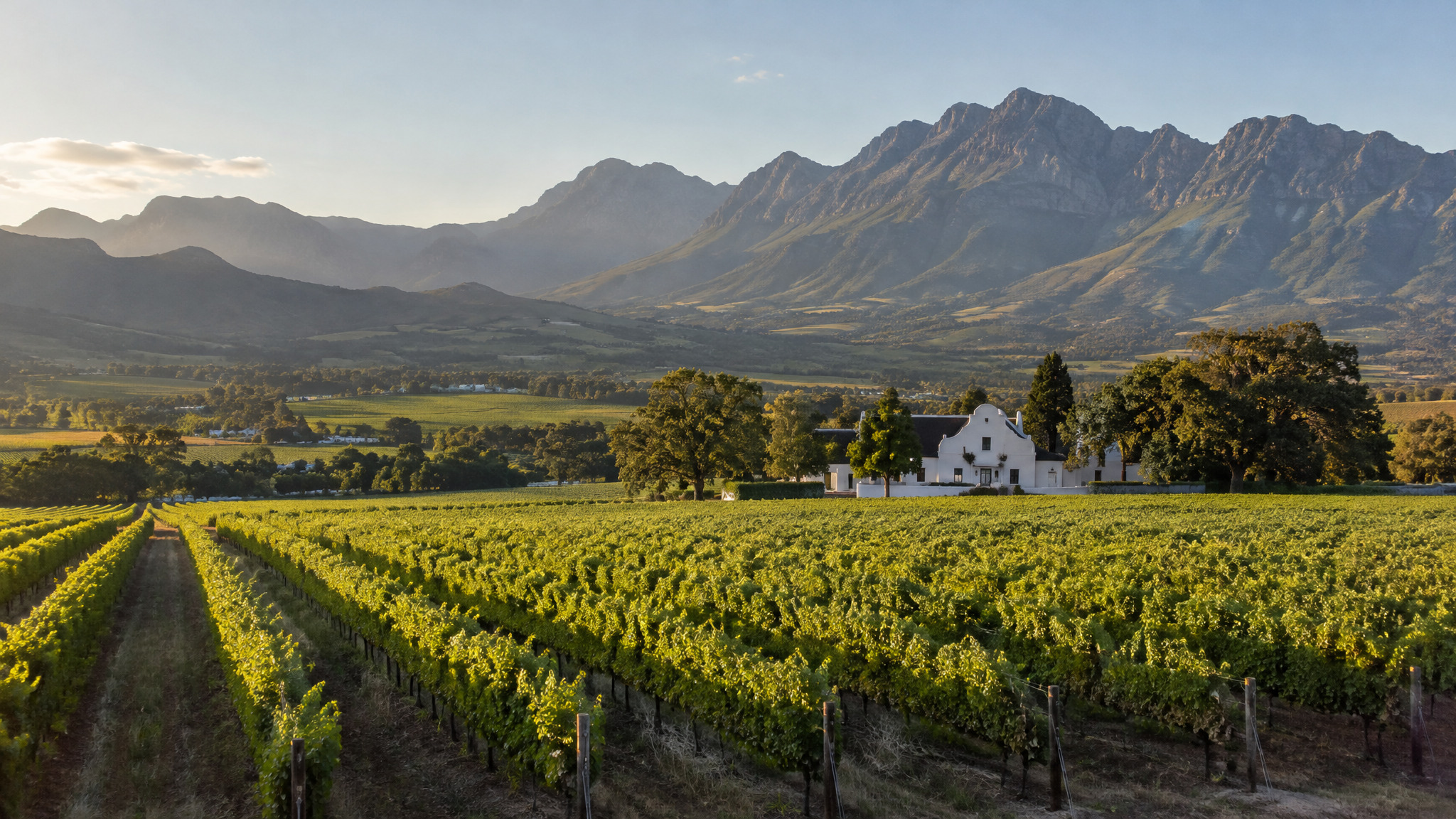 Vines running to the mountains in the Cape Winelands near Stellenbosch — Top 10 Best Cape Winelands Tours and Wine Experiences 2027 and 2028
