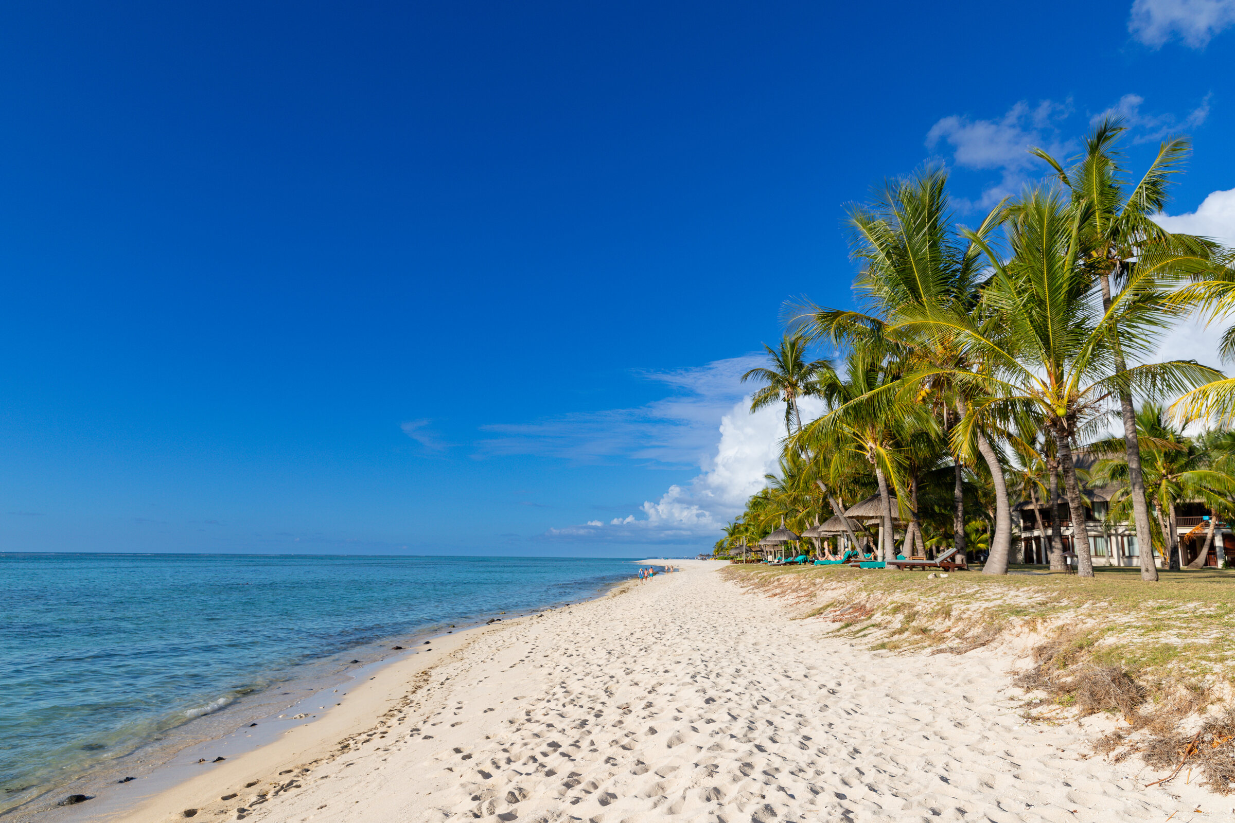 White-sand beach fringed with palms on the coast of Mauritius, a calm turquoise lagoon beyond — Top 10 Best Mauritius holiday packages 2026 and 2027