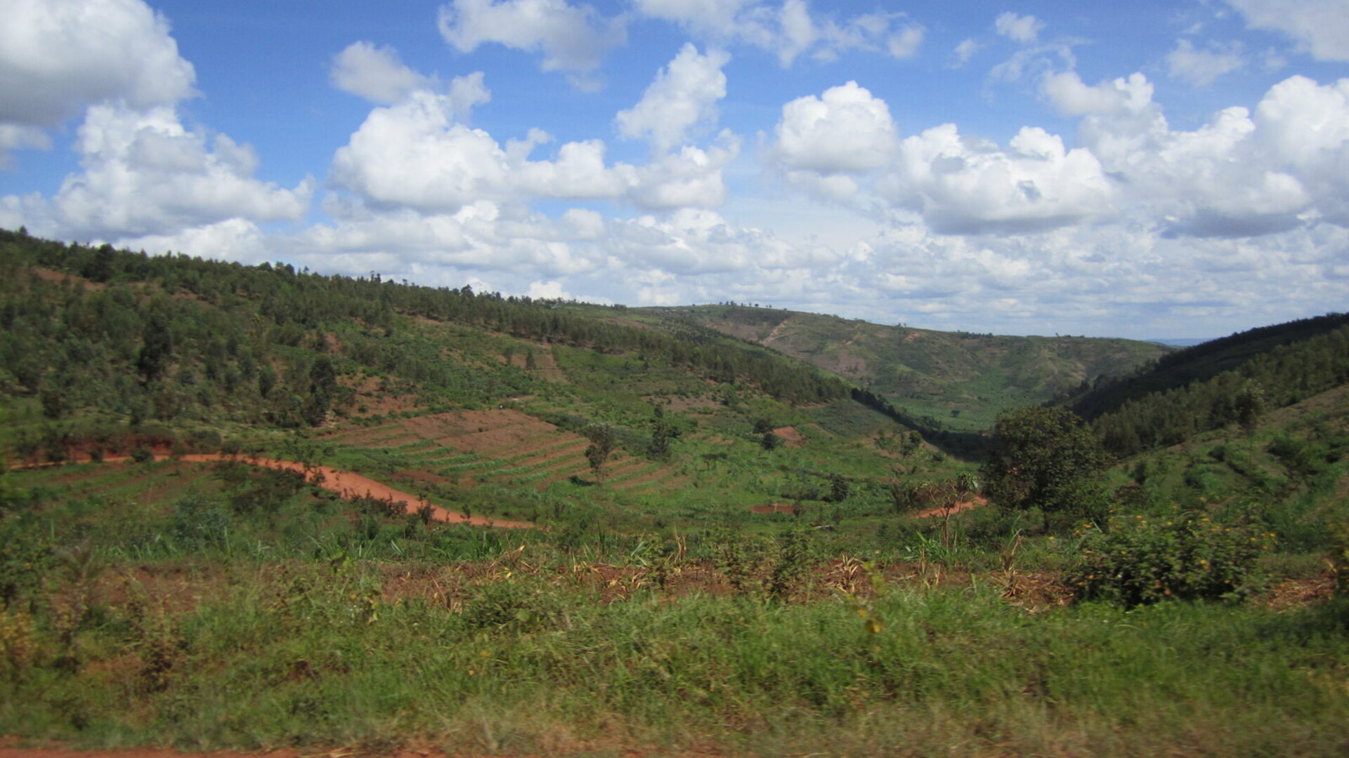 Rolling green hills and savanna plains of Akagera National Park in Rwanda, the Land of a Thousand Hills
