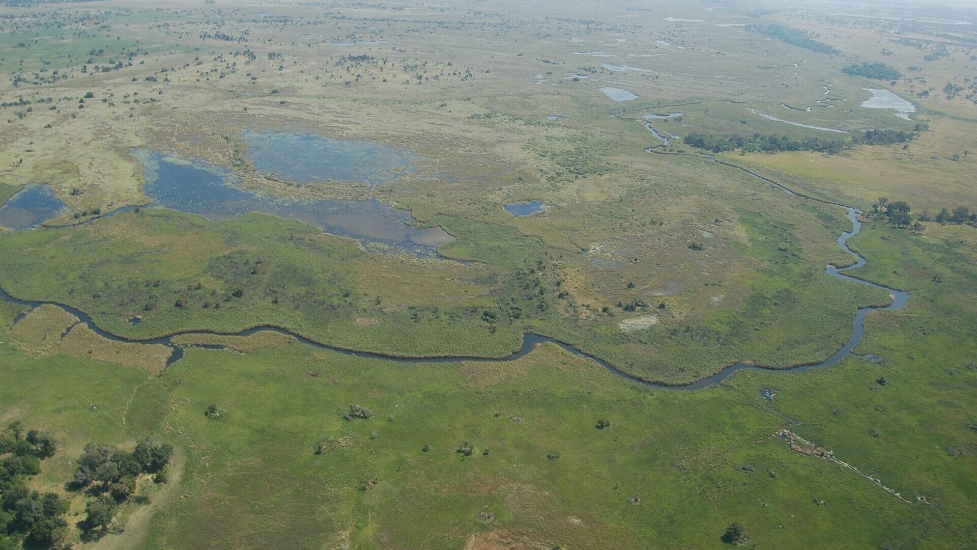 Aerial view of the winding channels and islands of the Okavango Delta, Botswana