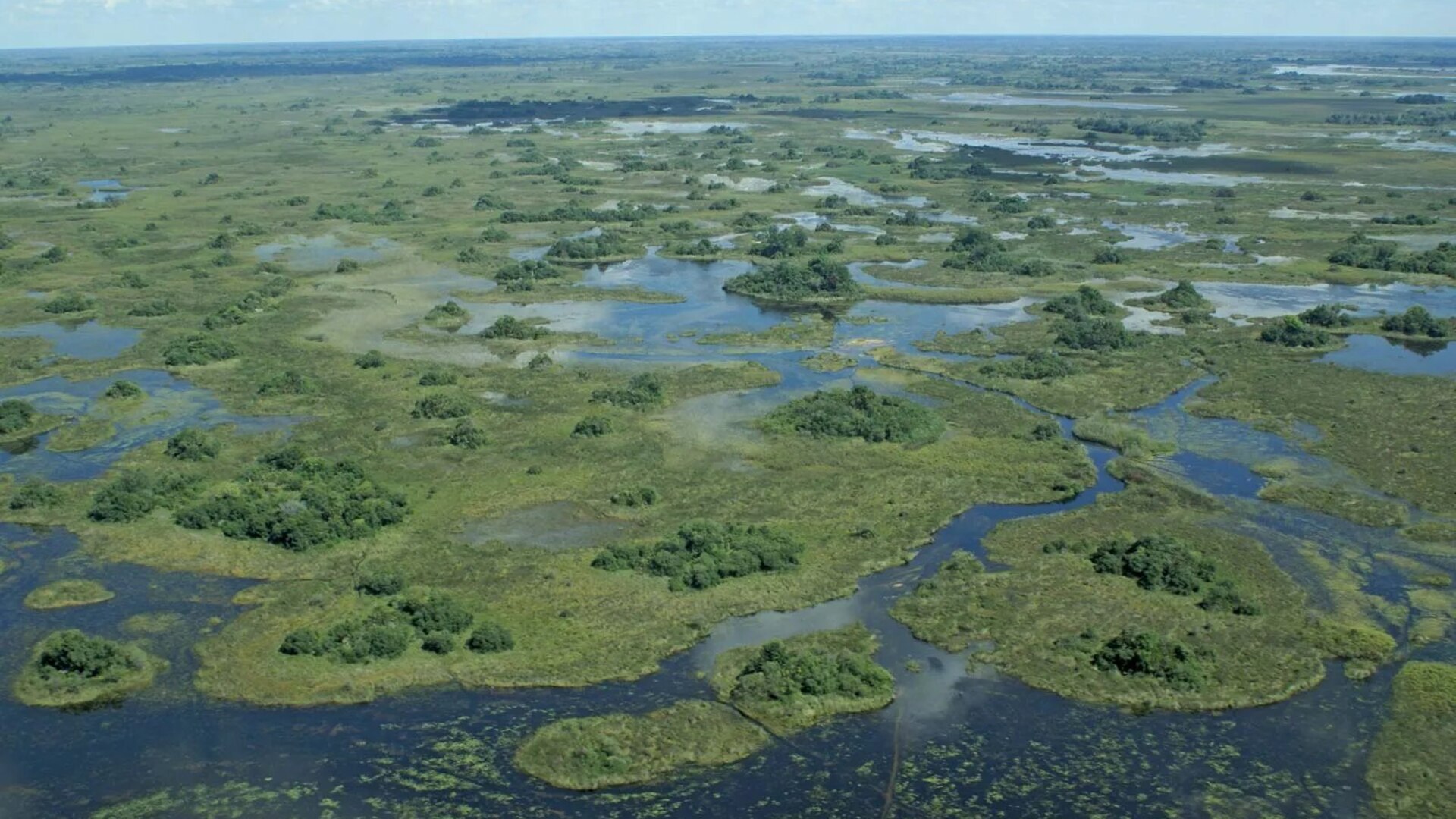 Mokoro dugout canoe safari gliding through the channels of the Okavango Delta, Botswana