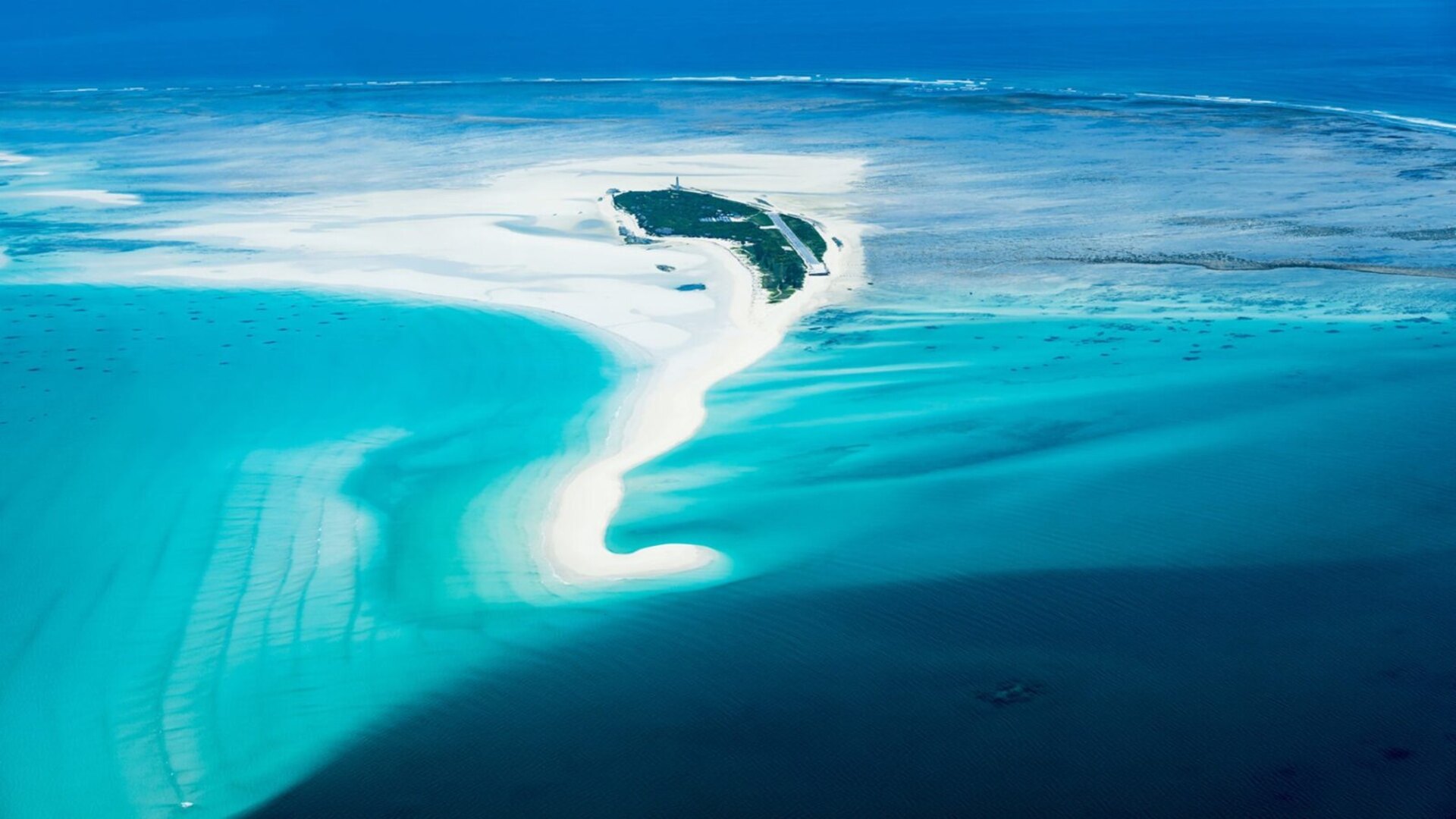 Ultimate Mozambique Travel Guide 2026 — Bazaruto Beaches, Gorongosa & Diving
