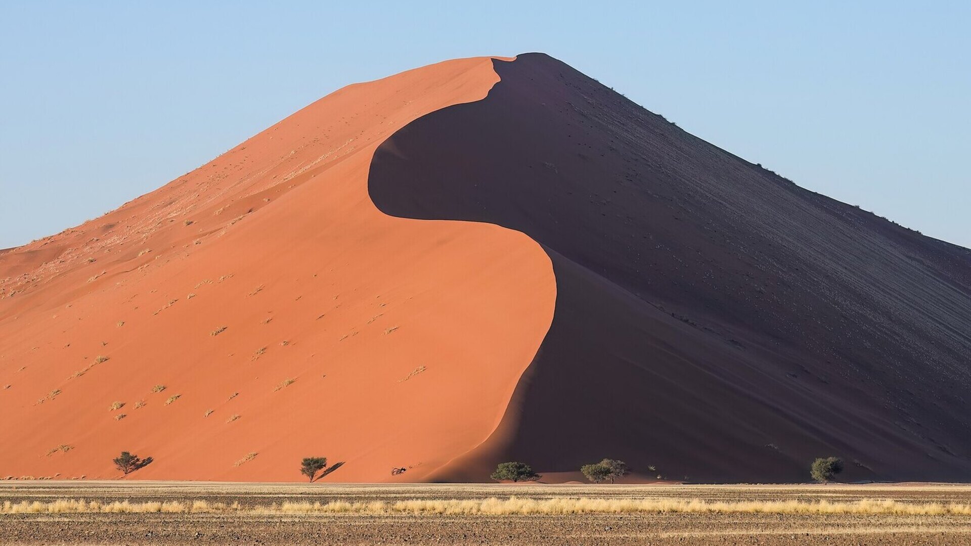 The towering red dunes of Sossusvlei in the Namib Desert at golden hour