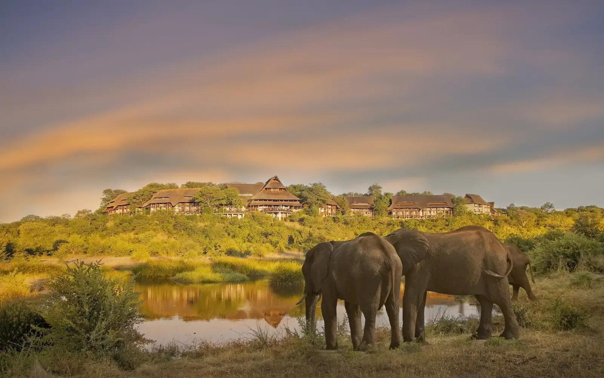 Elephants at the floodlit waterhole below Victoria Falls Safari Lodge at dusk