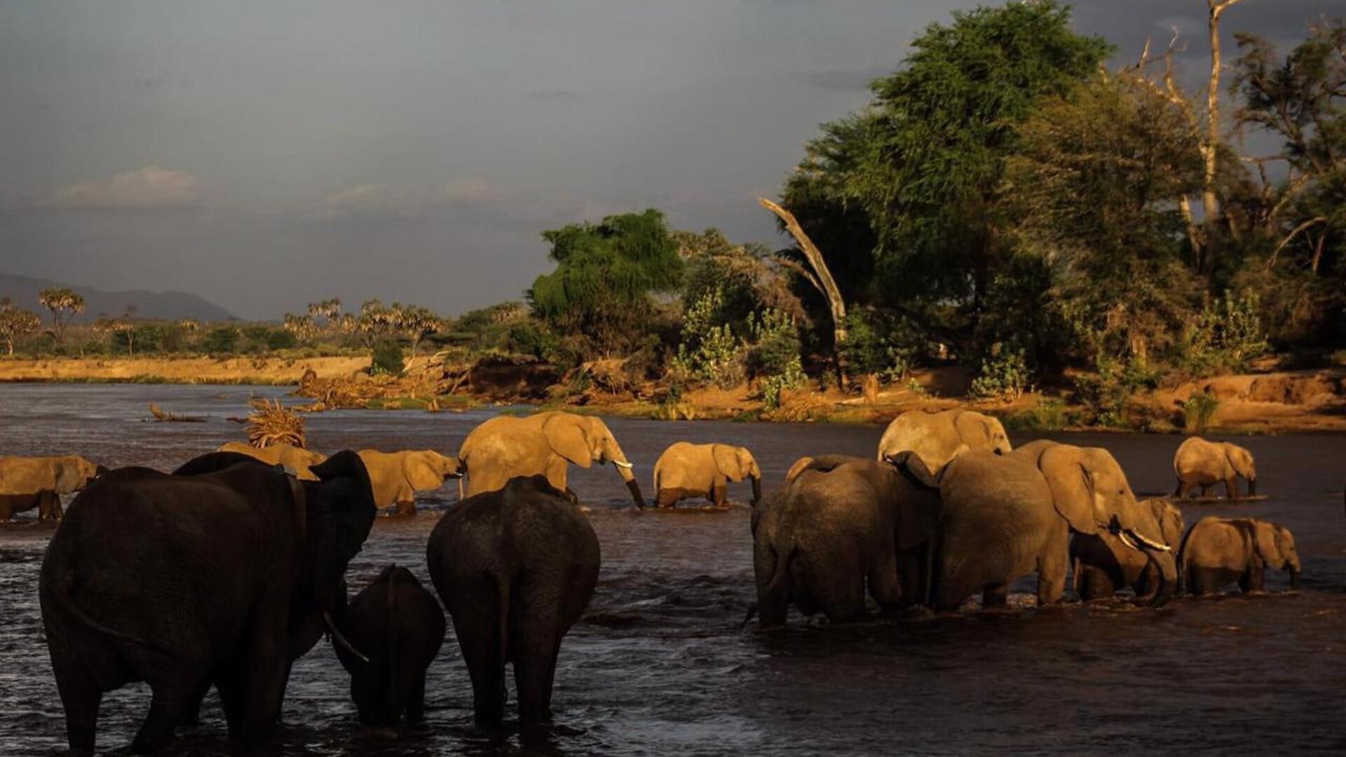 A couple watching the sunrise over the plains on a honeymoon game drive — best time for an African honeymoon safari