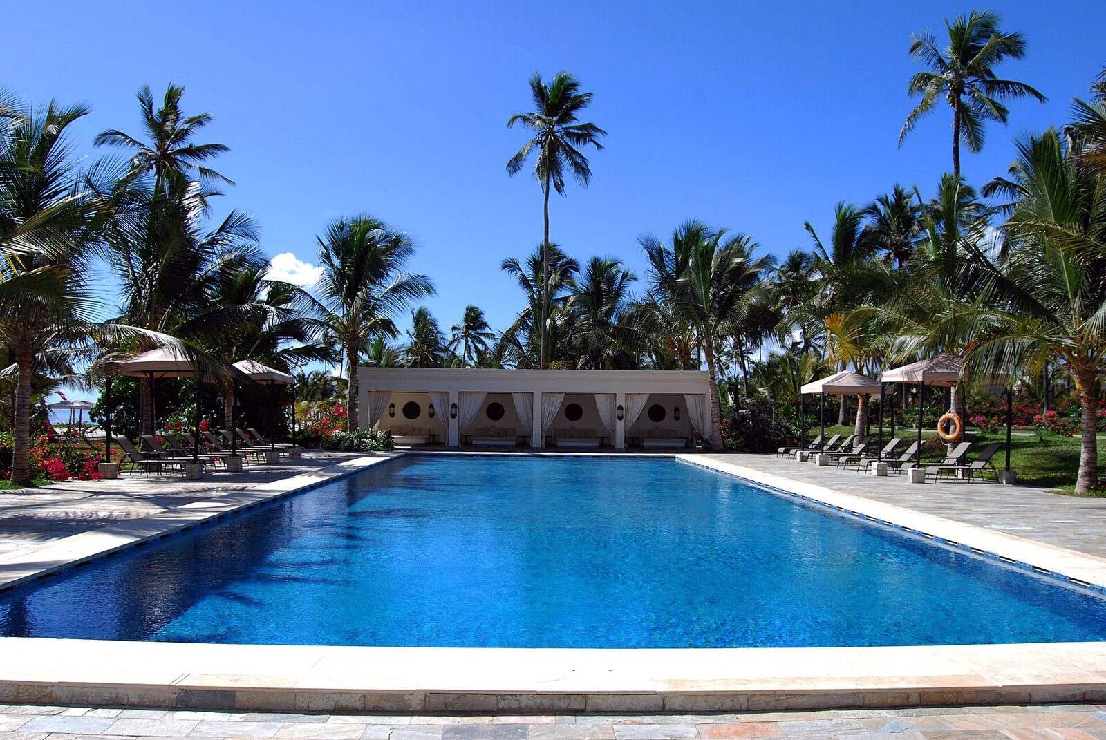 A palm-fringed swimming pool at a Zanzibar beach resort under a blue sky — the heart of an all-inclusive holiday on the spice island