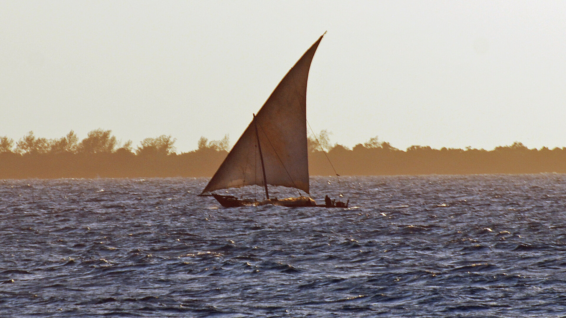 A traditional dhow sailing at sunset off the coast of Zanzibar