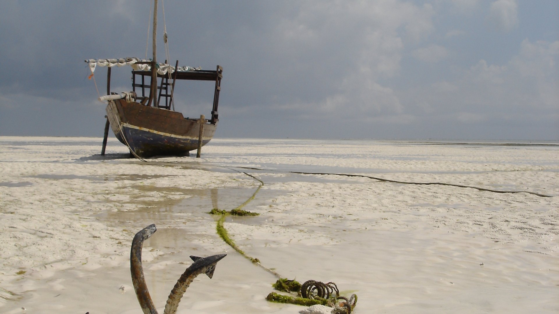 Mnemba Island's turquoise lagoon and white sand beaches from above